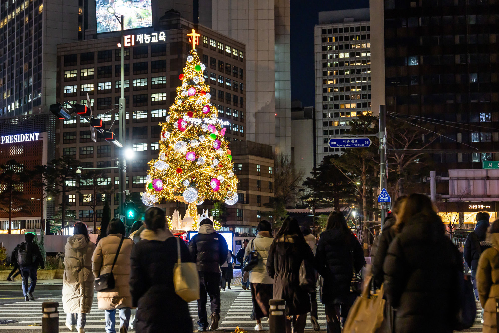 사회;세태;성탄트리;크리스마스트리;서울광장;시청광장;서울광장성탄트리;서울광장크리스마스트리
