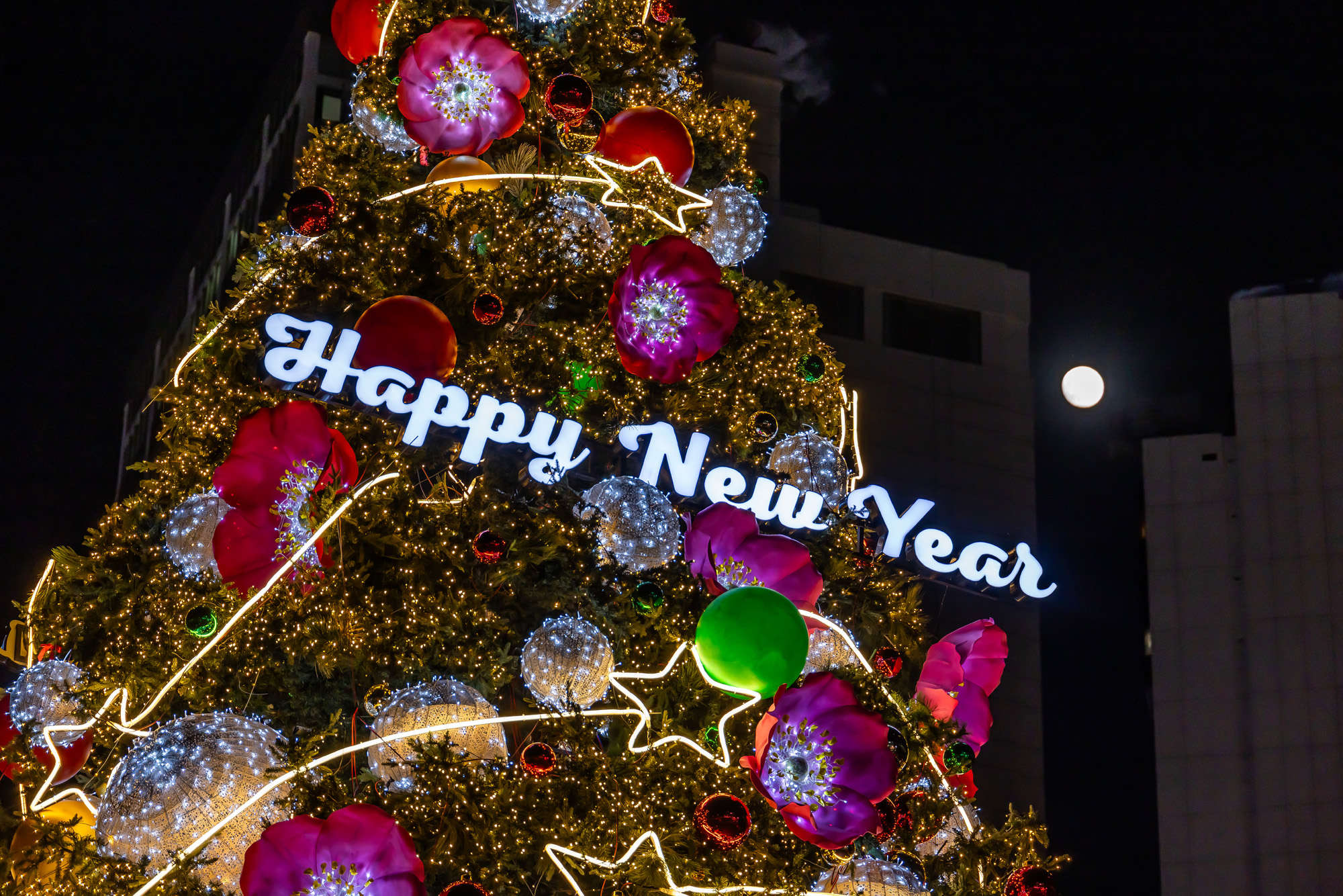 사회;세태;성탄트리;크리스마스트리;서울광장;시청광장;서울광장성탄트리;서울광장크리스마스트리