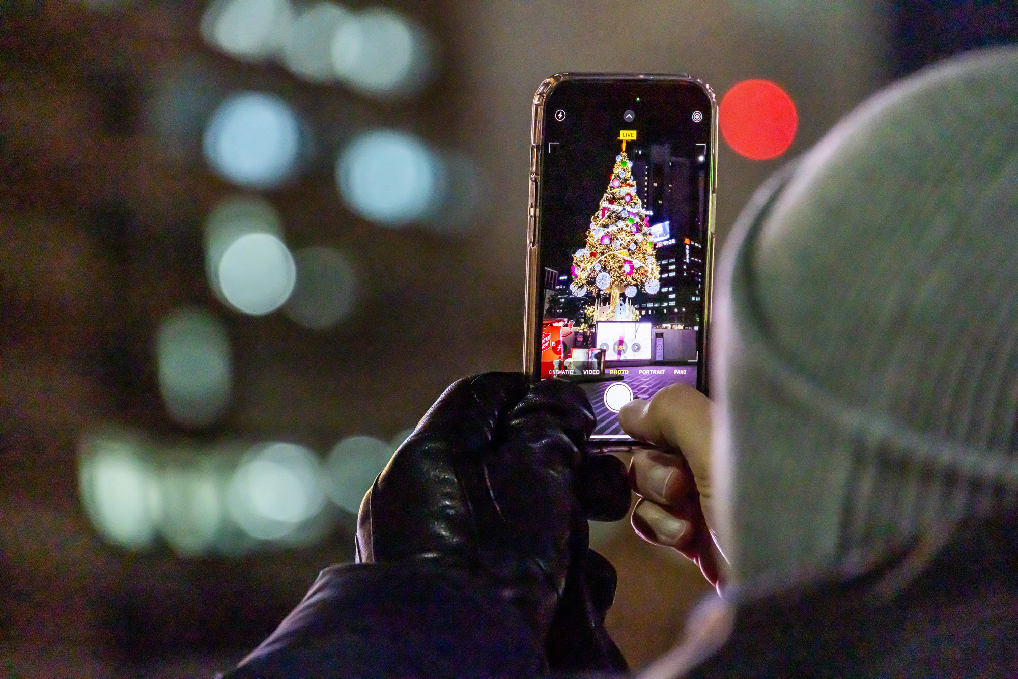 사회;세태;성탄트리;크리스마스트리;서울광장;시청광장;서울광장성탄트리;서울광장크리스마스트리