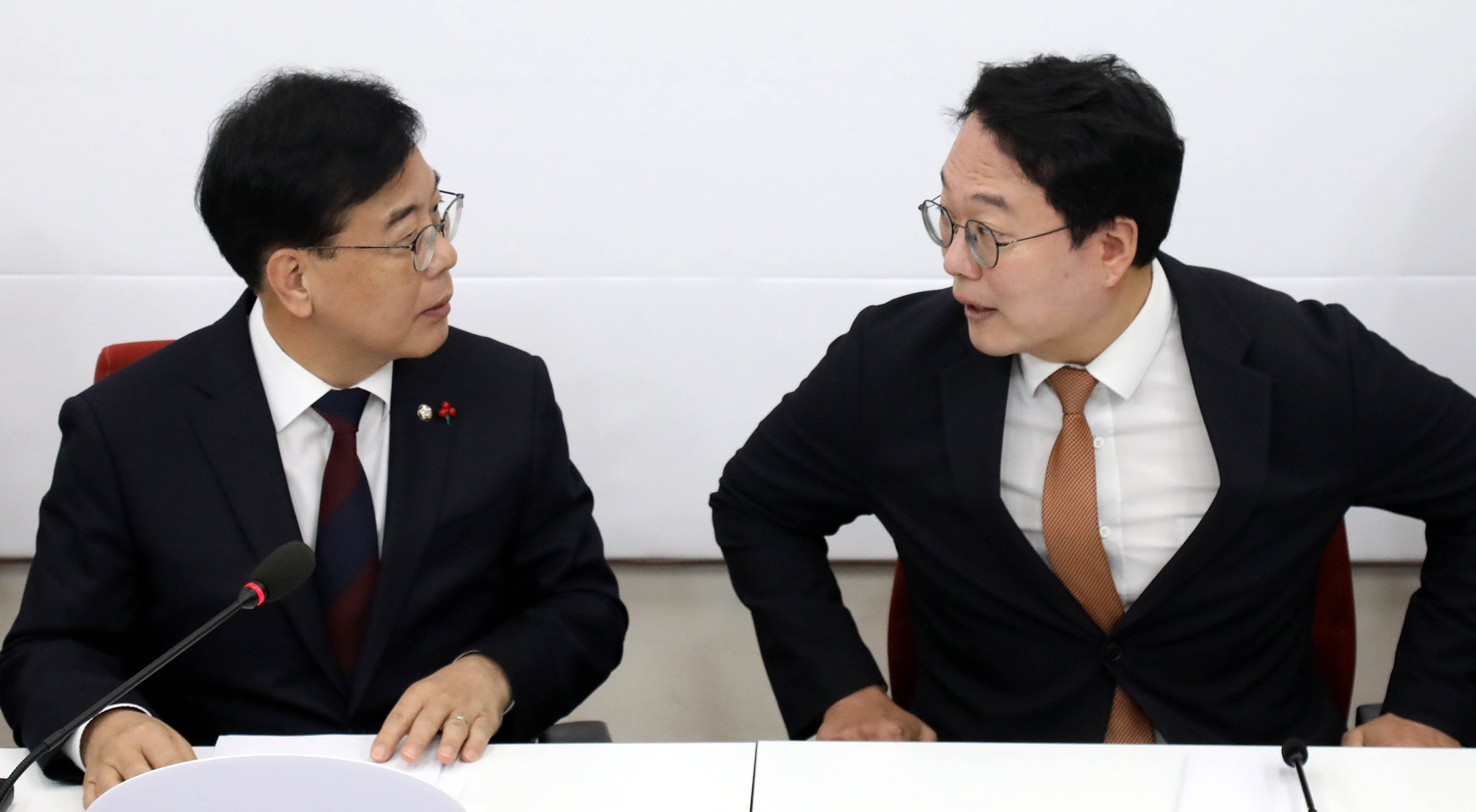 정치;정당;국민의힘;개혁신당;원내대표