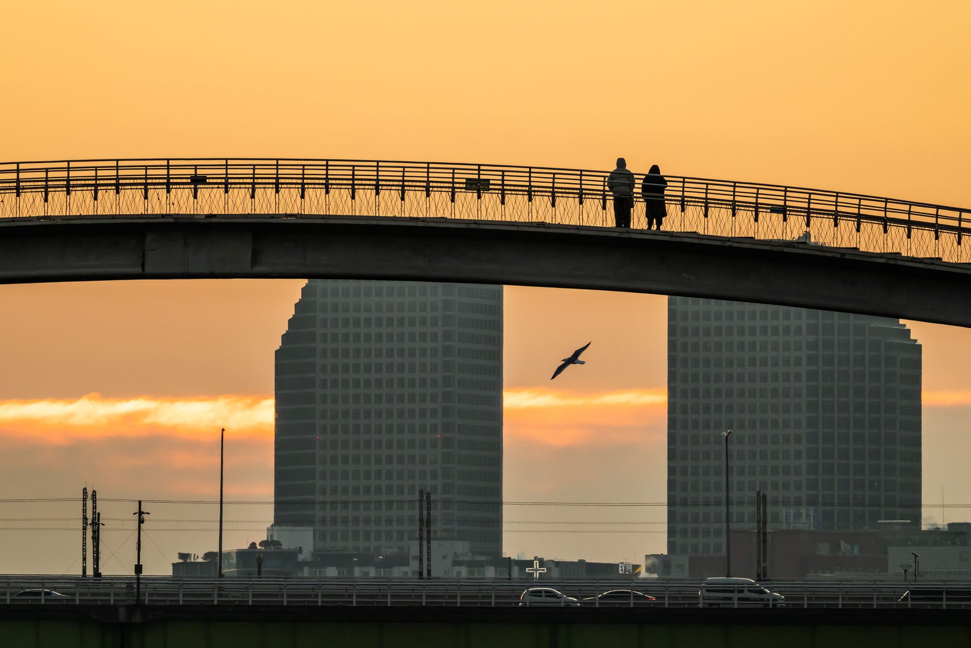 사회;세태;일출;신년일출;크리스마스일출;선유도공원일출;선유교일출