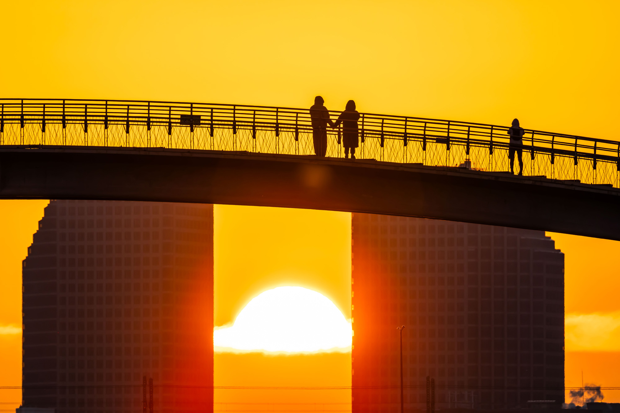 사회;세태;일출;신년일출;크리스마스일출;선유도공원일출;선유교일출