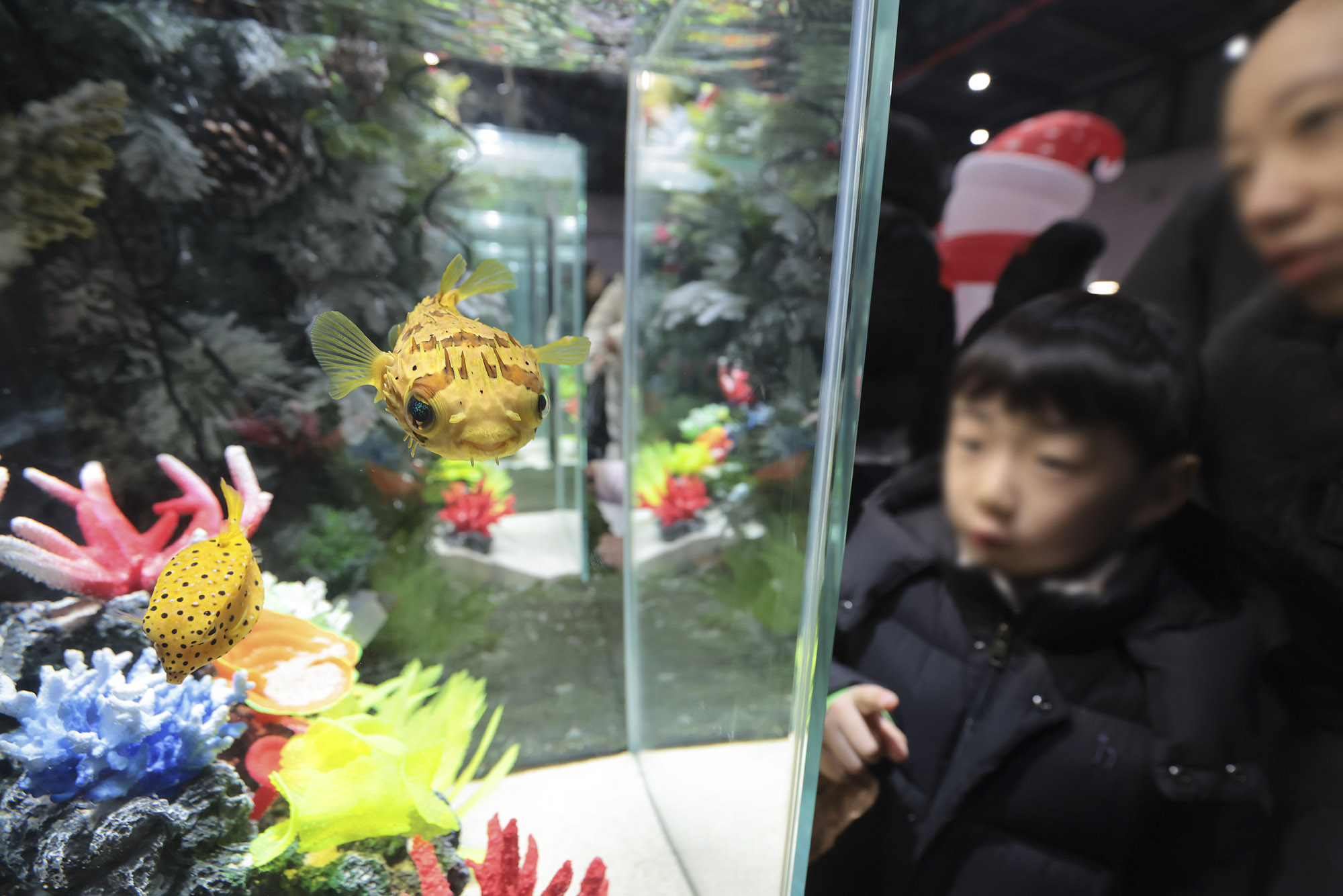 아쿠라이움;파충류;세텍