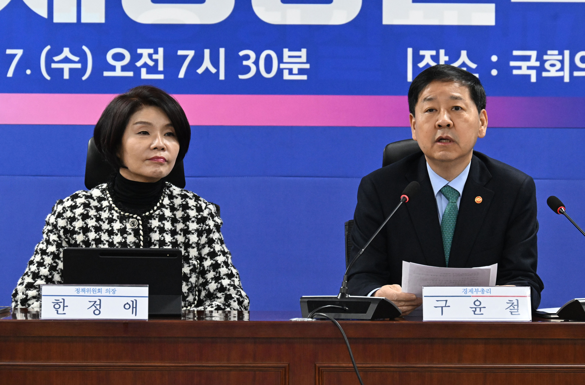 구윤철 부총리;경제성장전략;당정협의;민주당