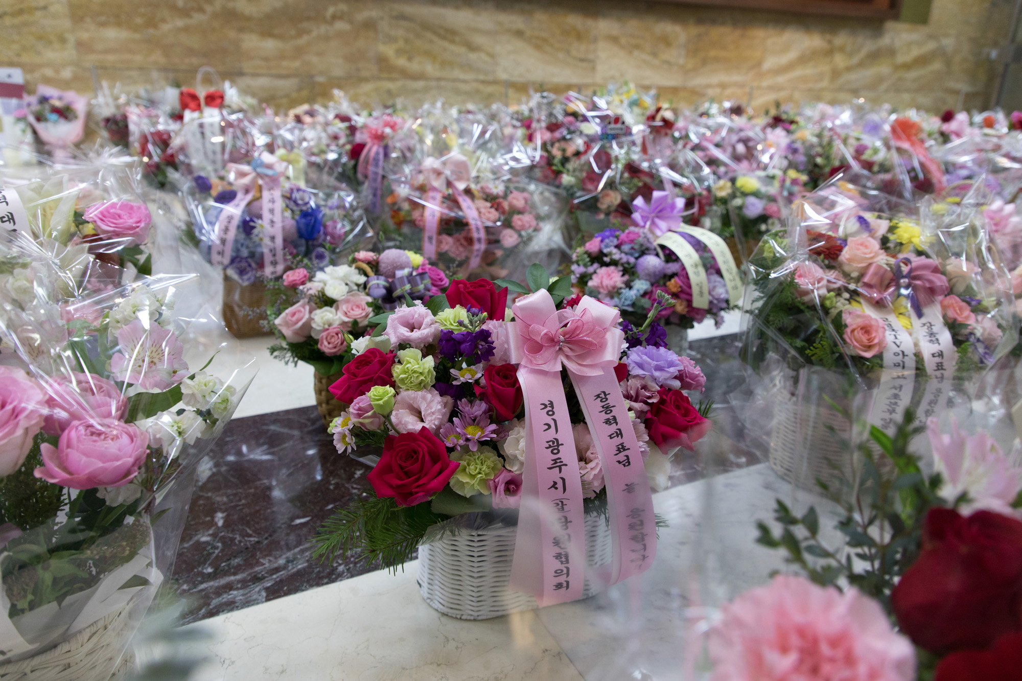 정치;정당;국민의힘;최고위원회의;장동혁;단식