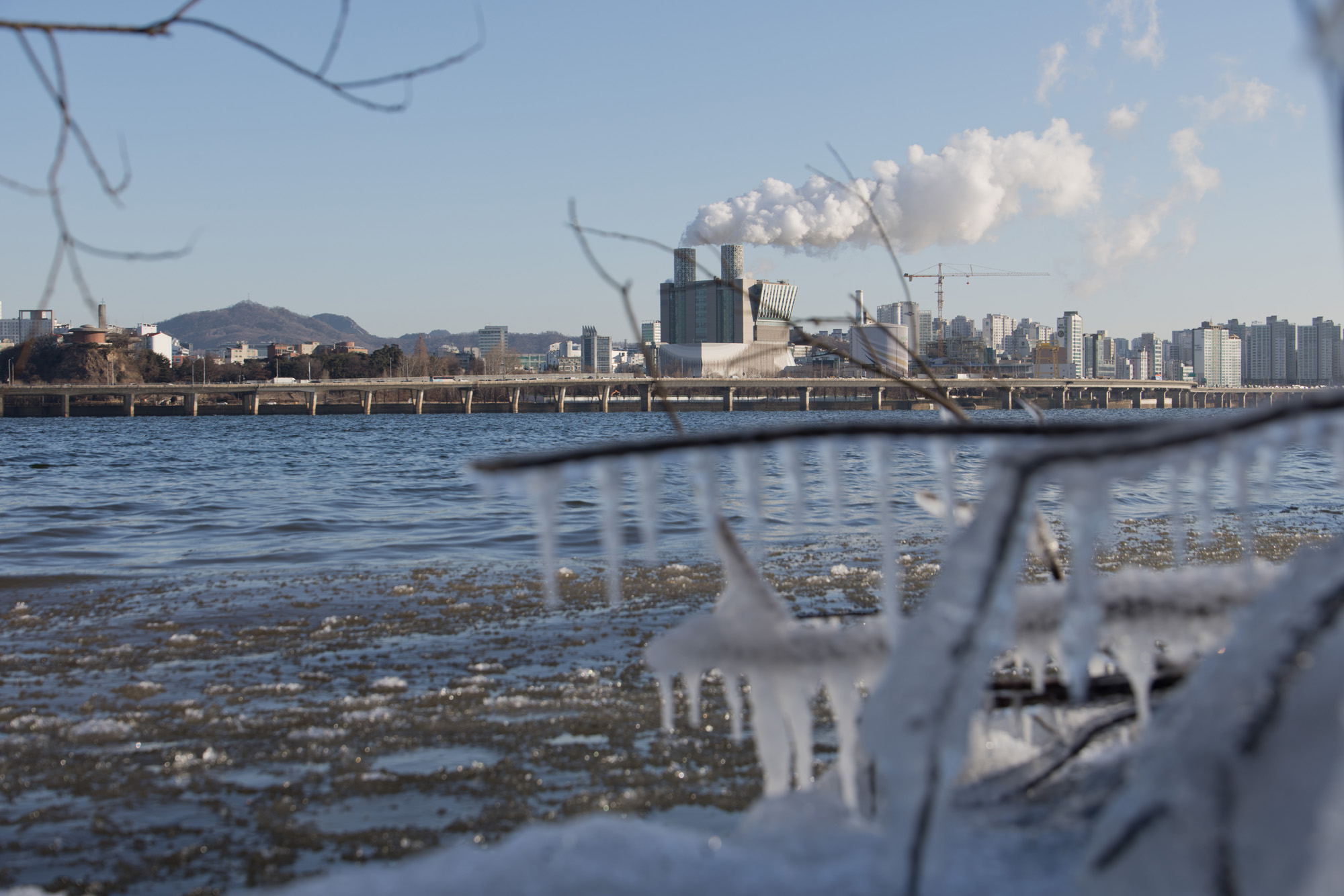 사회;세태;추위;한강;얼음