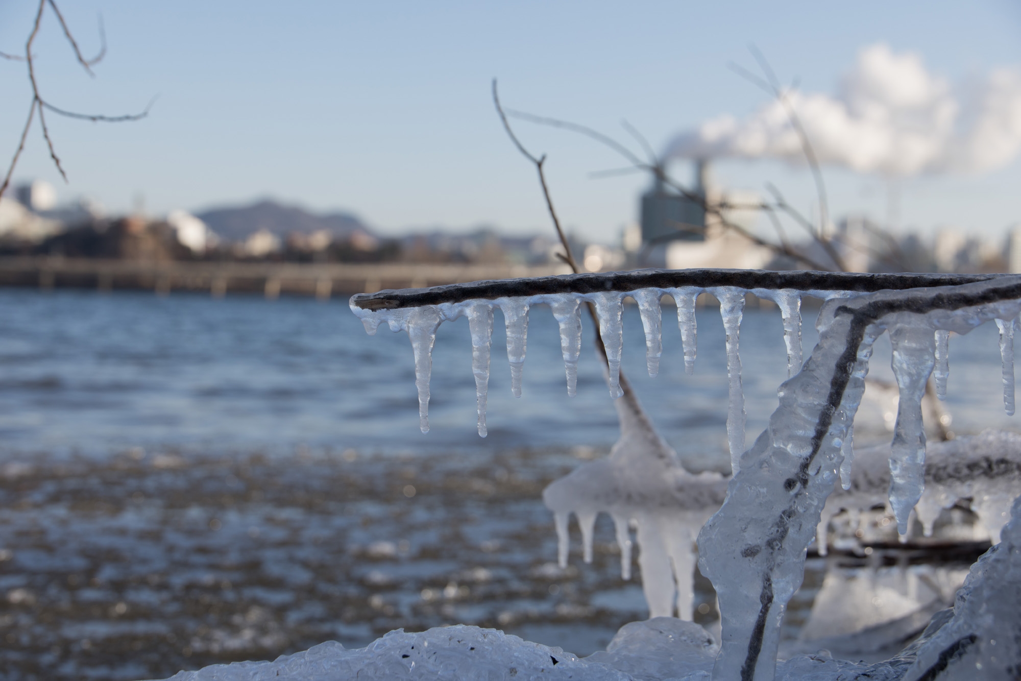 사회;세태;추위;한강;얼음