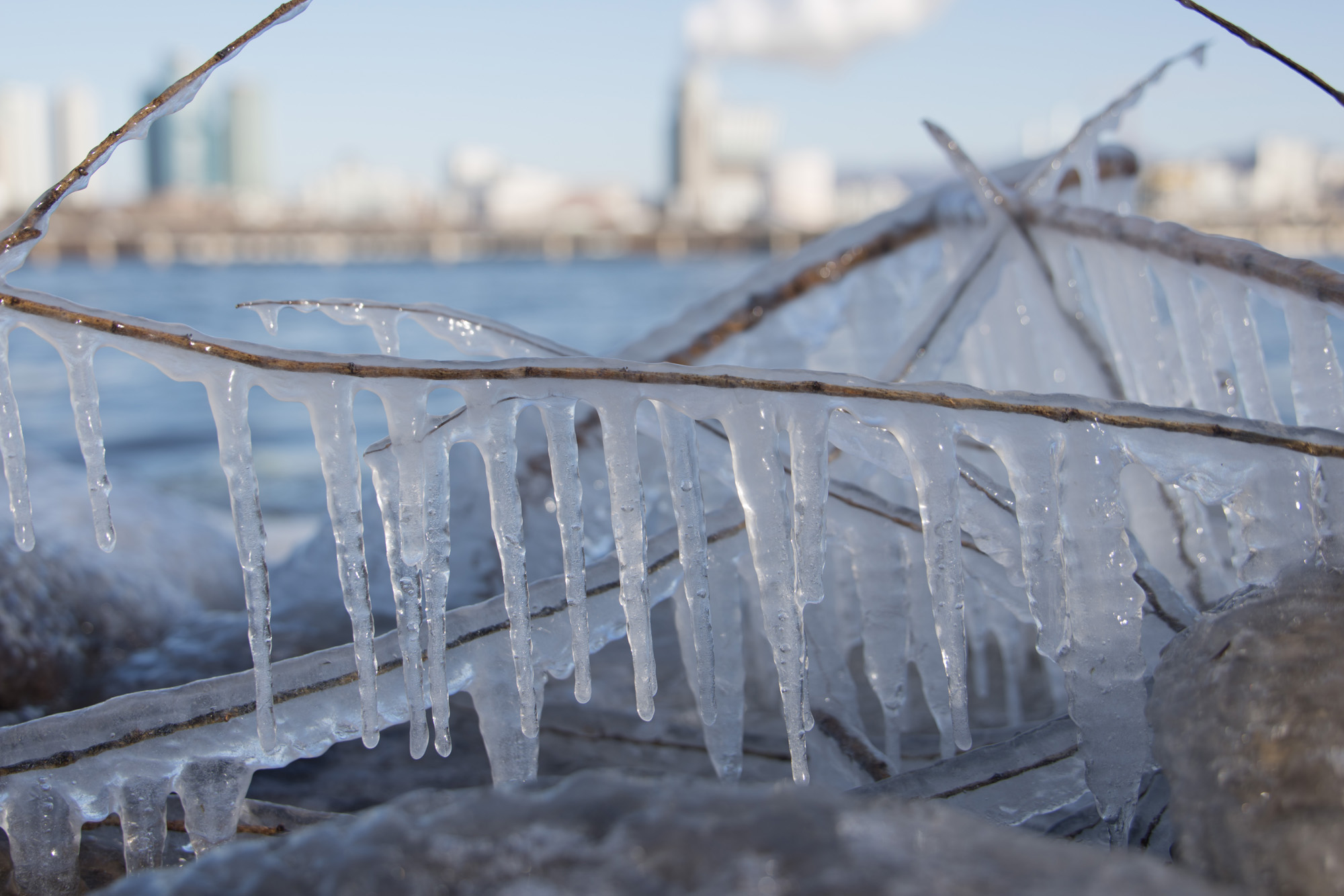 사회;세태;추위;한강;얼음