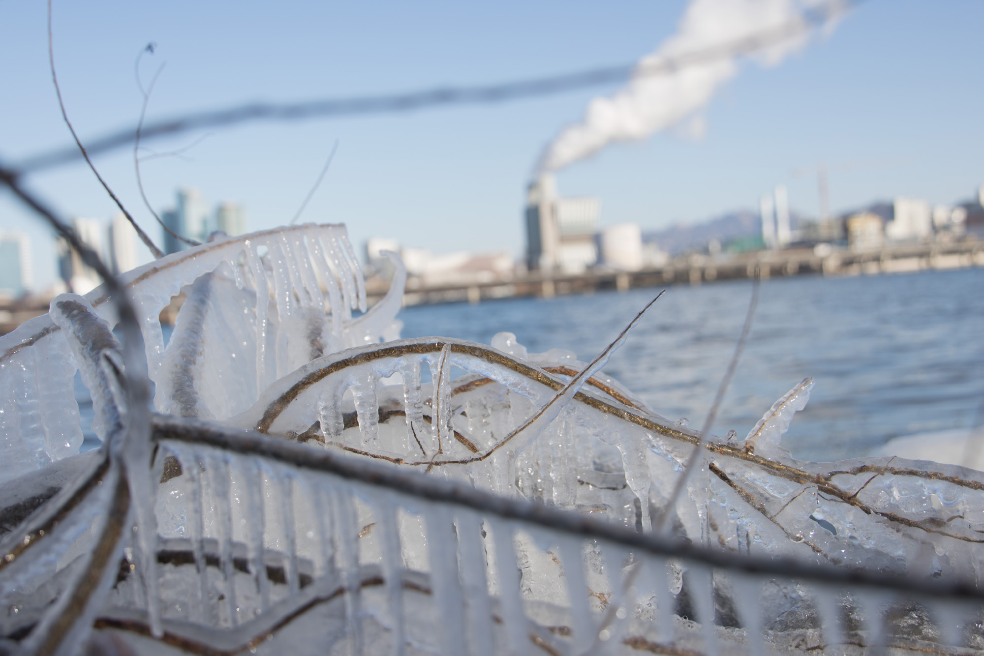 사회;세태;추위;한강;얼음