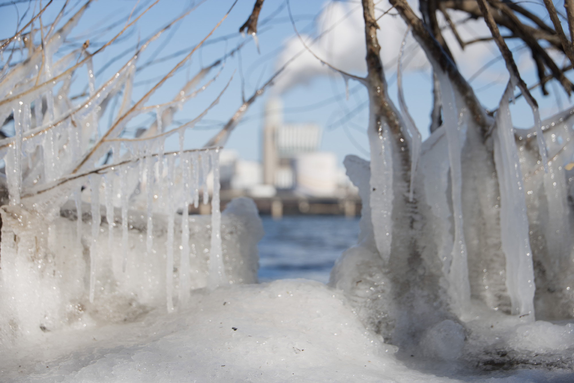 사회;세태;추위;한강;얼음