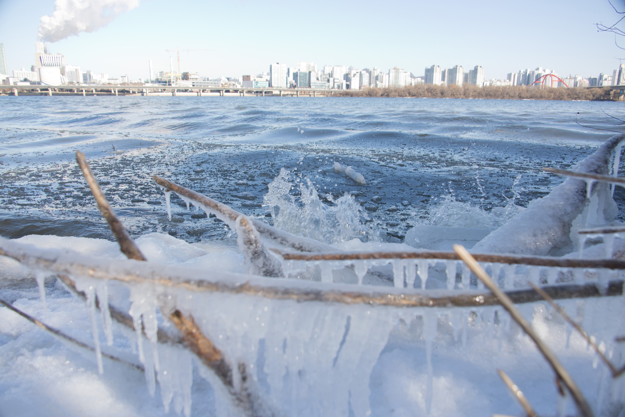 사회;세태;추위;한강;얼음