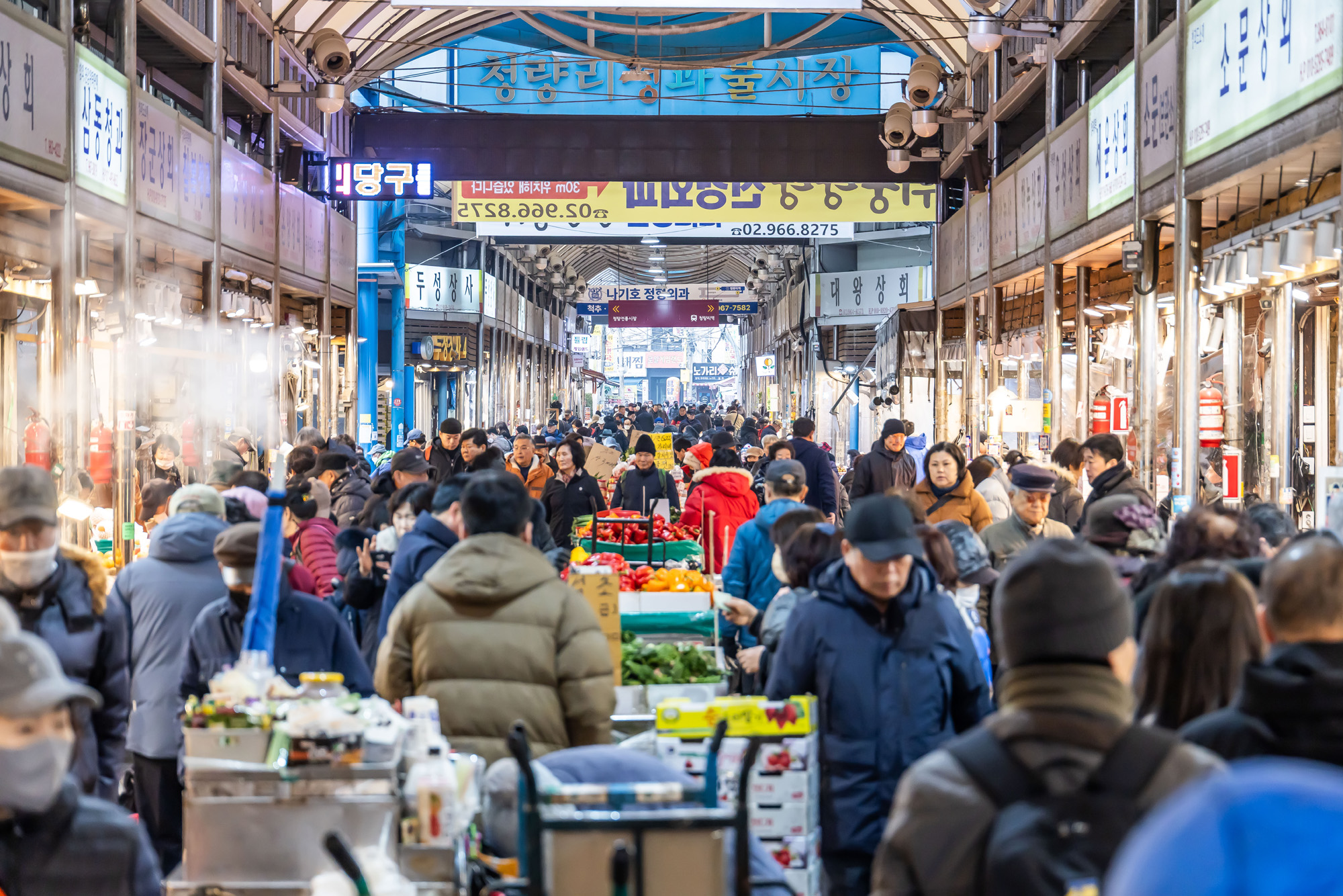 사회;세태;명절;명절스케치;설날;설전통시장스케치;청량리전통시장;설제수용품구매;설명절;설장보기