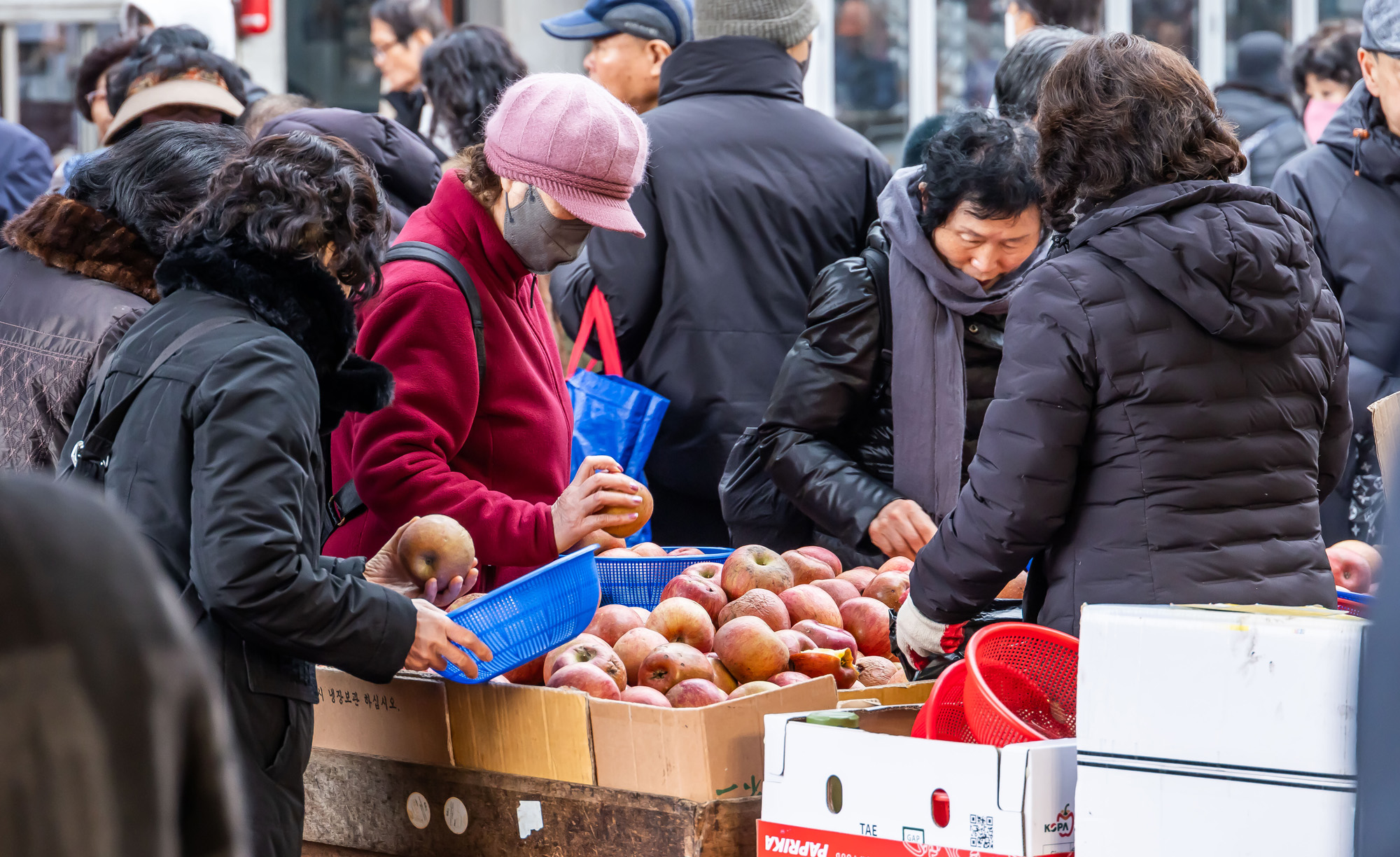 사회;세태;명절;명절스케치;설날;설전통시장스케치;청량리전통시장;설제수용품구매;설명절;설장보기