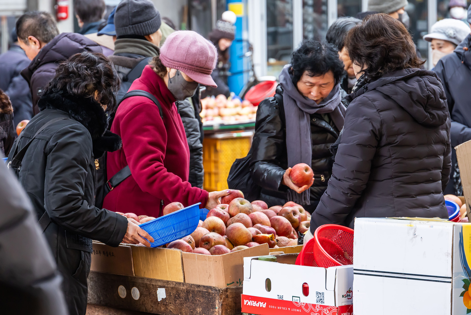 사회;세태;명절;명절스케치;설날;설전통시장스케치;청량리전통시장;설제수용품구매;설명절;설장보기