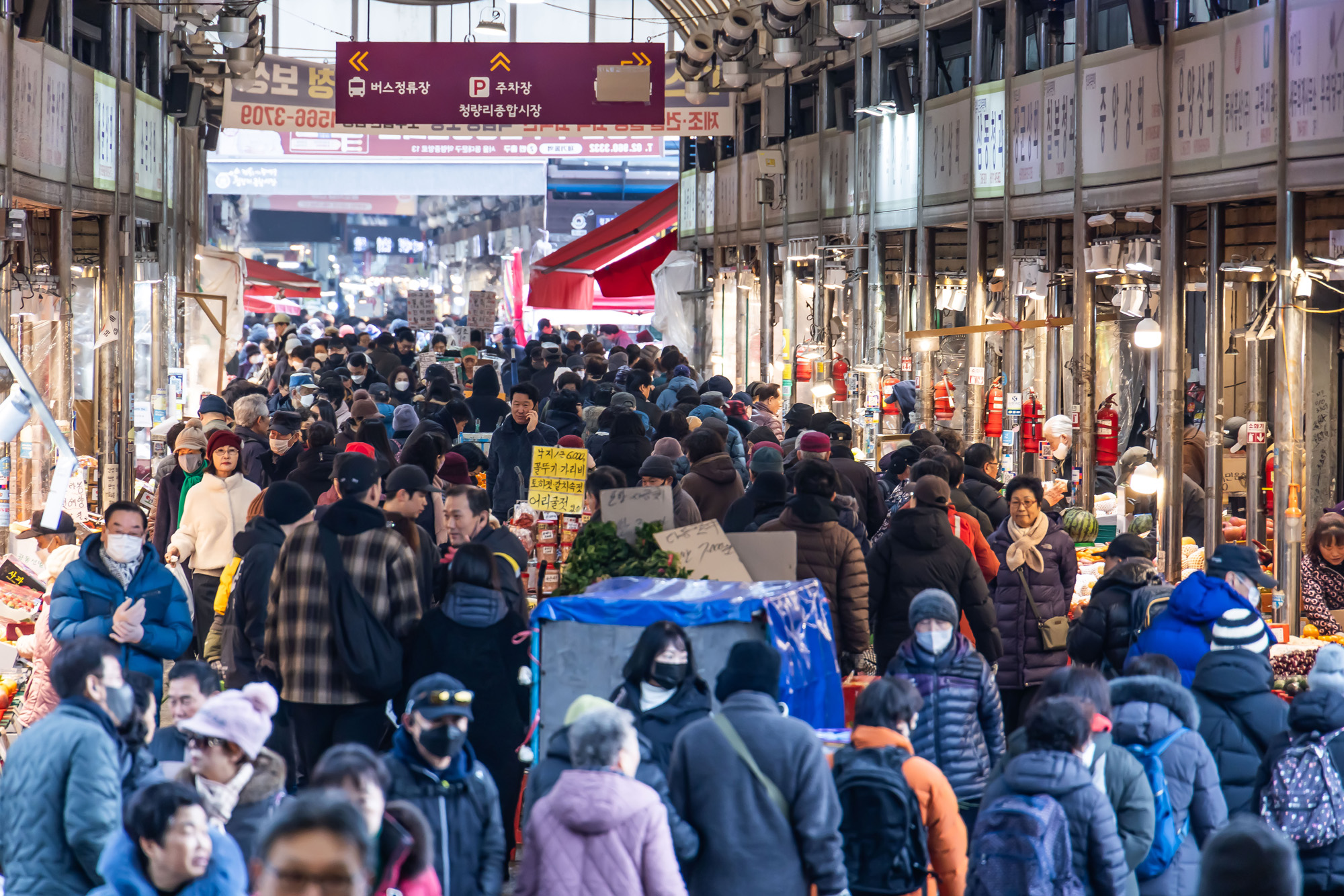 사회;세태;명절;명절스케치;설날;설전통시장스케치;청량리전통시장;설제수용품구매;설명절;설장보기