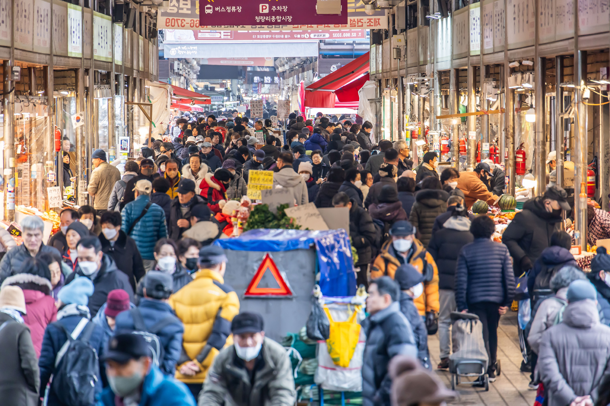 사회;세태;명절;명절스케치;설날;설전통시장스케치;청량리전통시장;설제수용품구매;설명절;설장보기