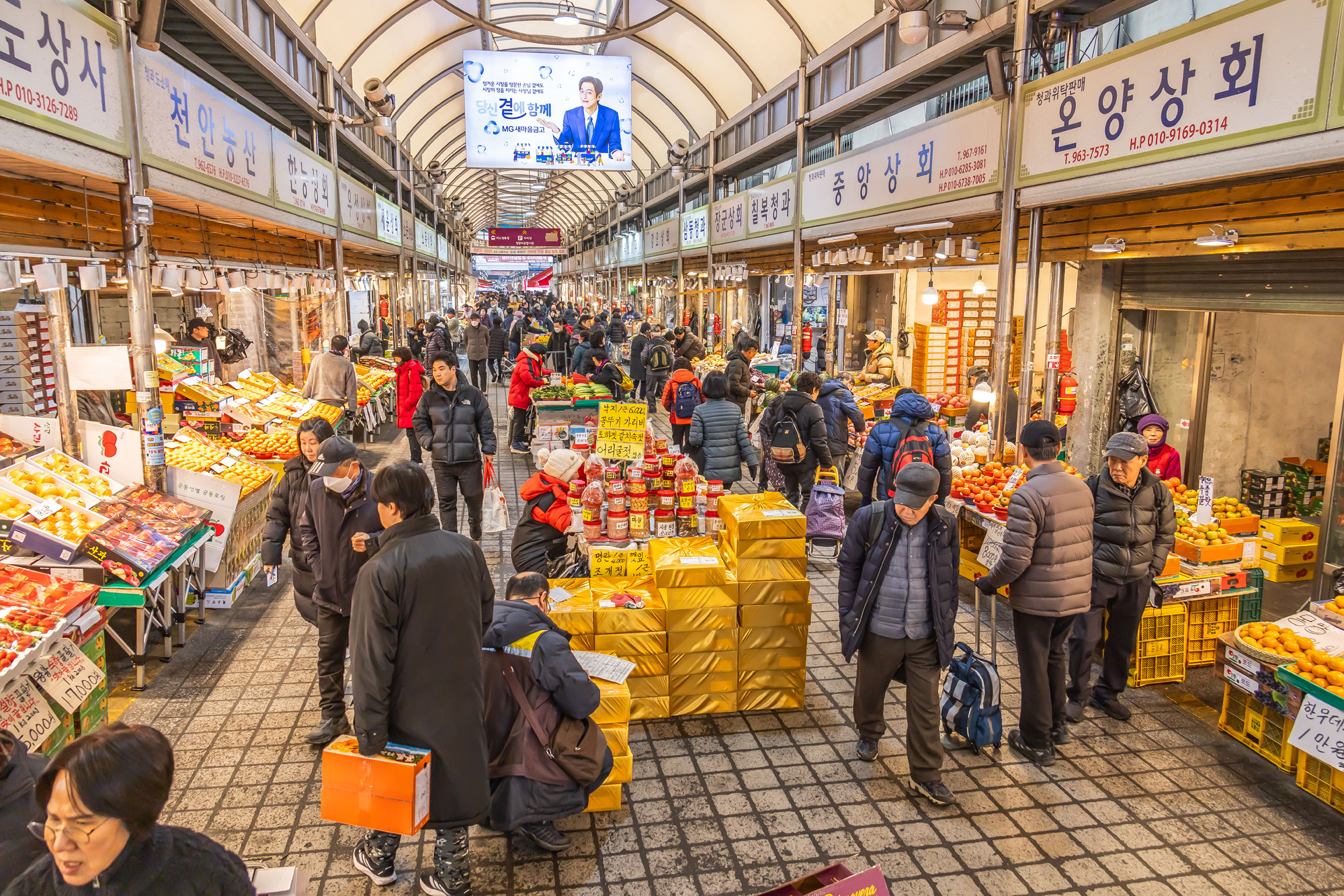 사회;세태;명절;명절스케치;설날;설전통시장스케치;청량리전통시장;설제수용품구매;설명절;설장보기