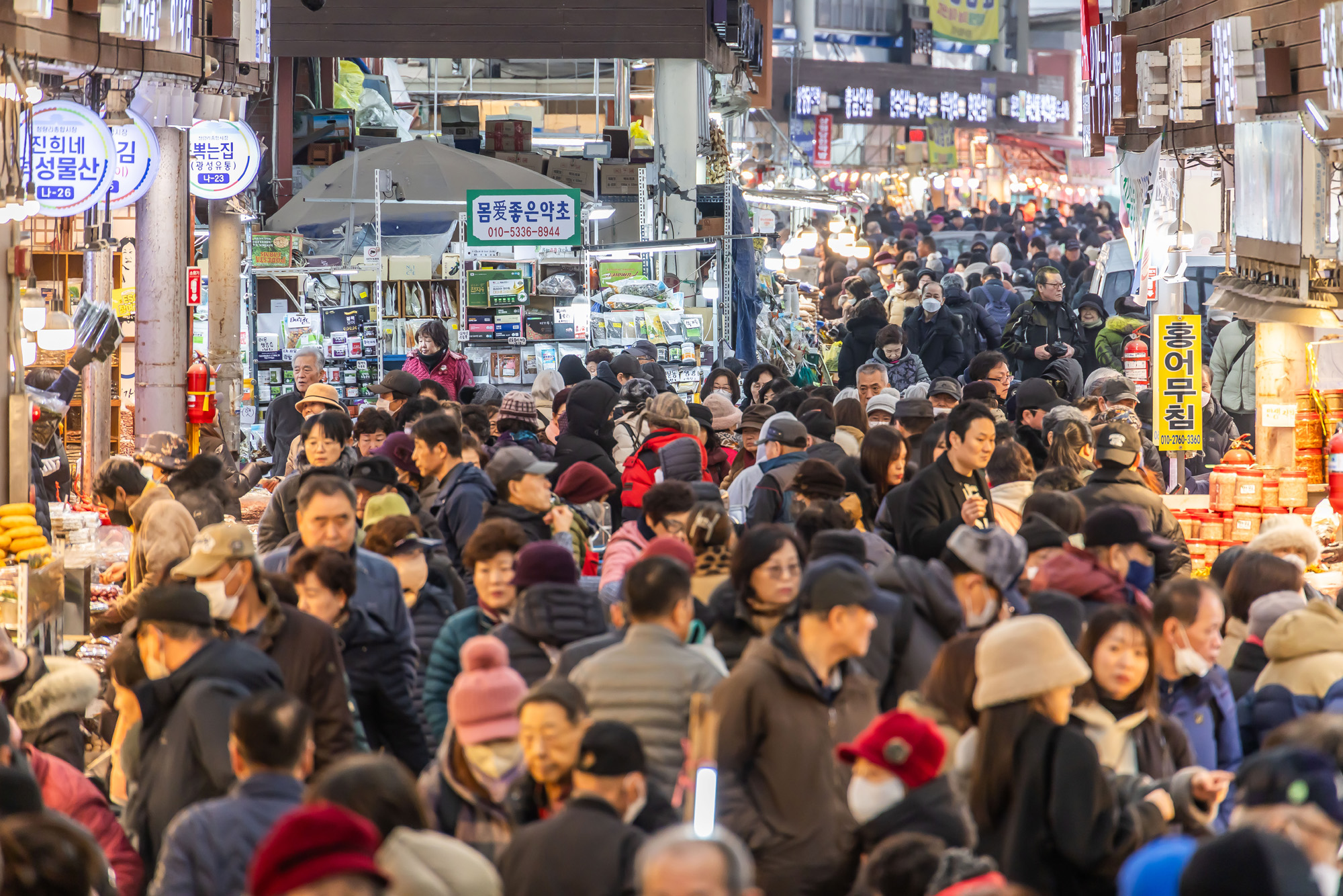 사회;세태;명절;명절스케치;설날;설전통시장스케치;청량리전통시장;설제수용품구매;설명절;설장보기