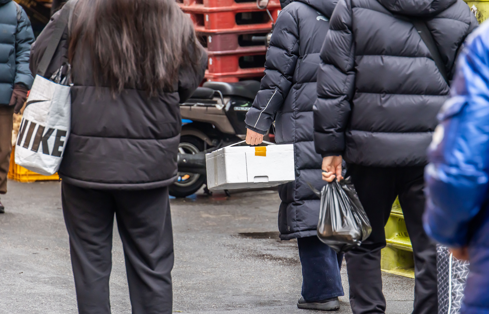 사회;세태;명절;명절스케치;설날;설전통시장스케치;청량리전통시장;설제수용품구매;설명절;설장보기