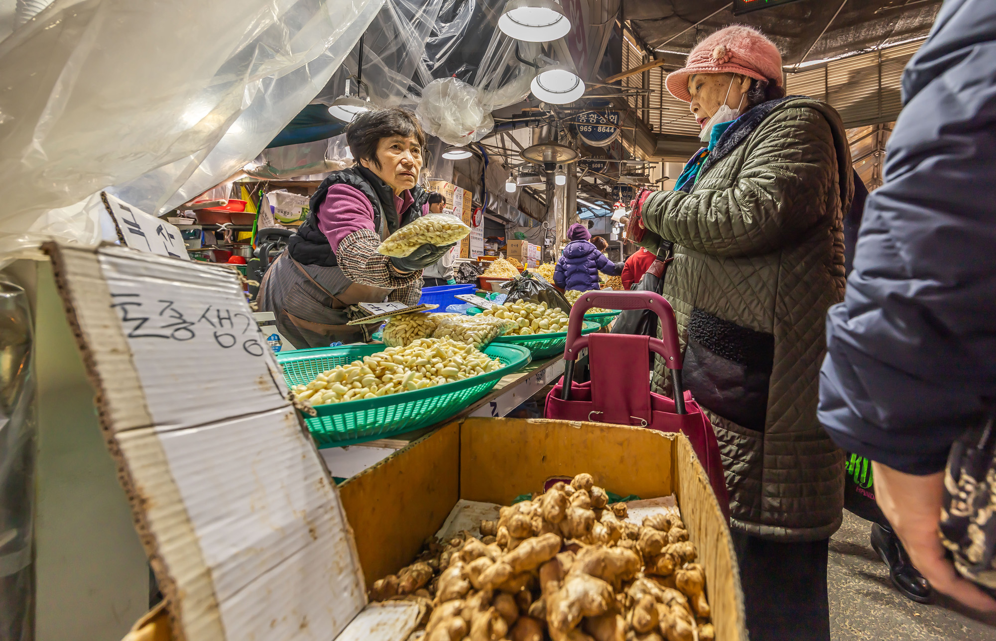 사회;세태;명절;명절스케치;설날;설전통시장스케치;경동시장;설제수용품구매;설명절;설장보기