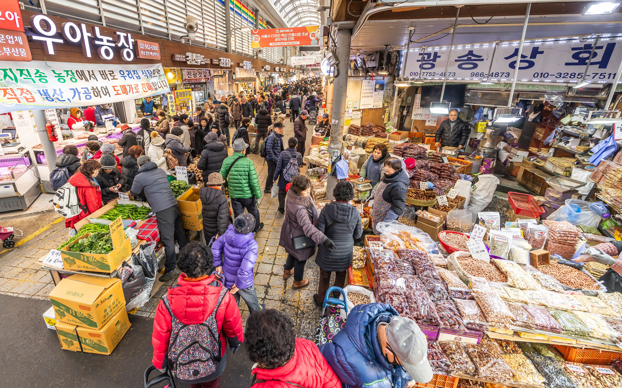 사회;세태;명절;명절스케치;설날;설전통시장스케치;경동시장;설제수용품구매;설명절;설장보기