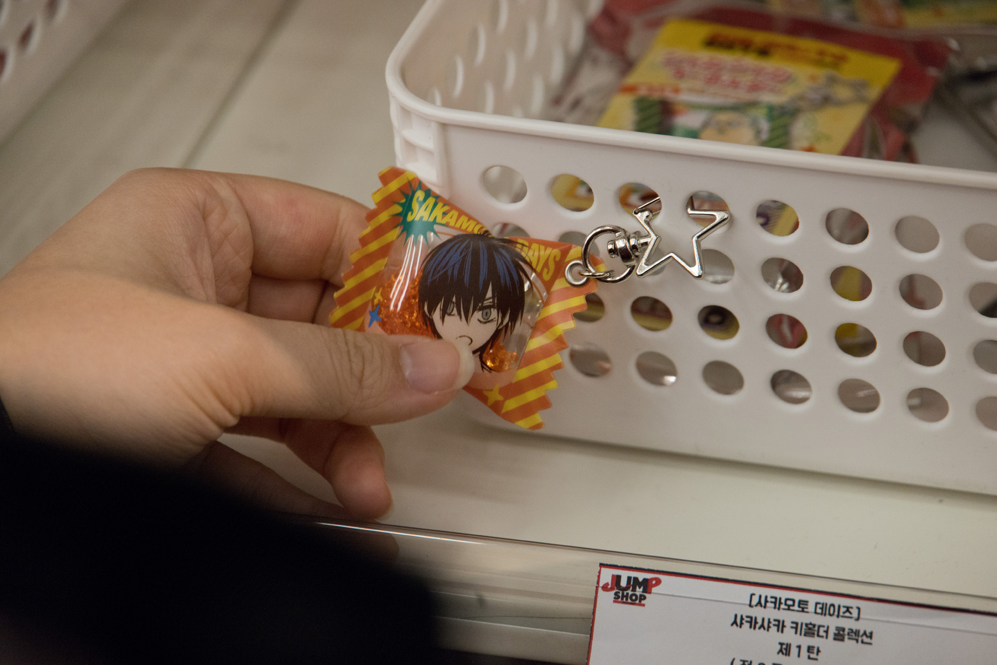 사회;세태;에니메이션;일본