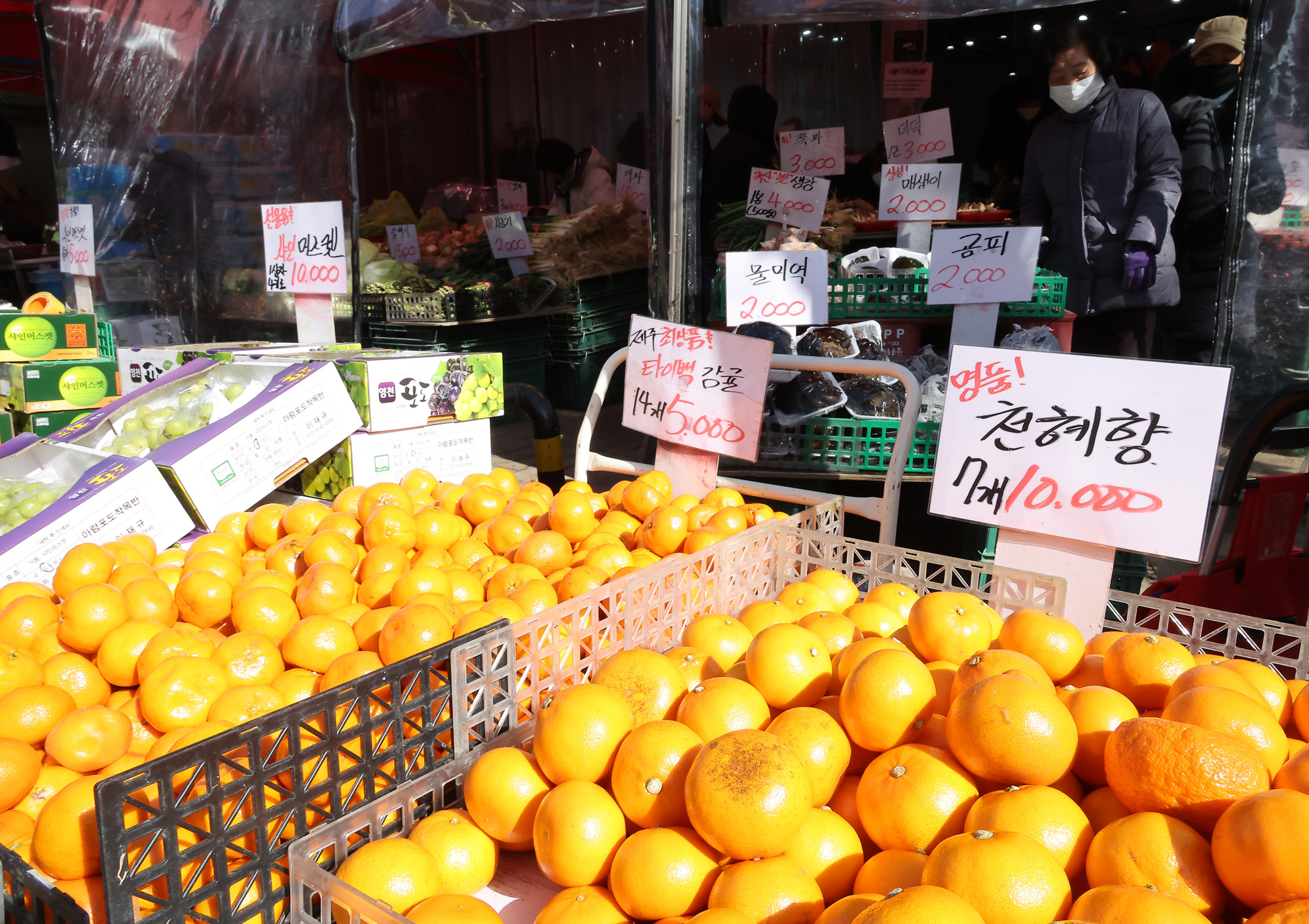 설;명절;수원;정자시장;시장;구정;쇼핑