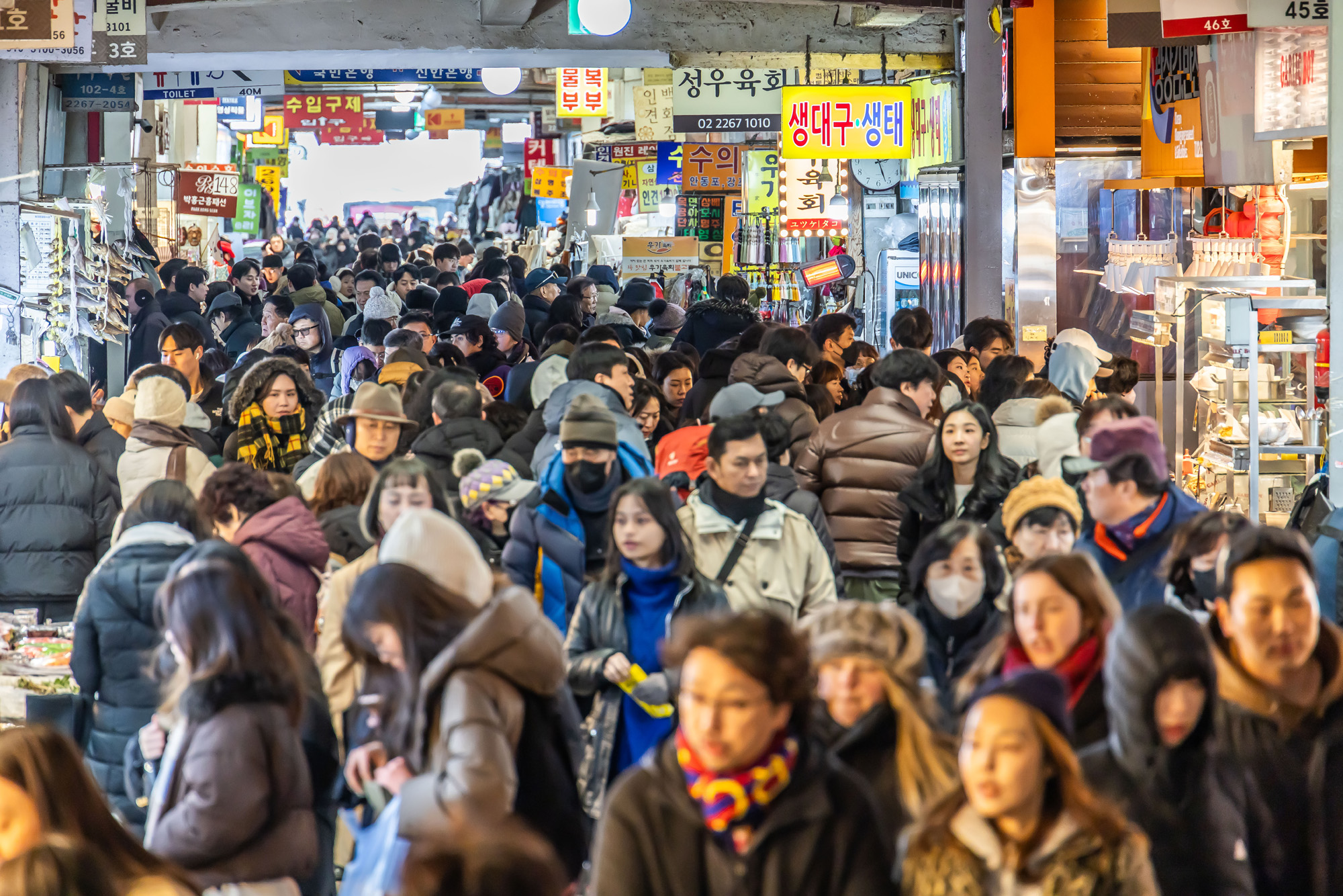사회;세태;명절;명절스케치;설날;설전통시장스케치;광장시장;설제수용품구매;설명절;설장보기