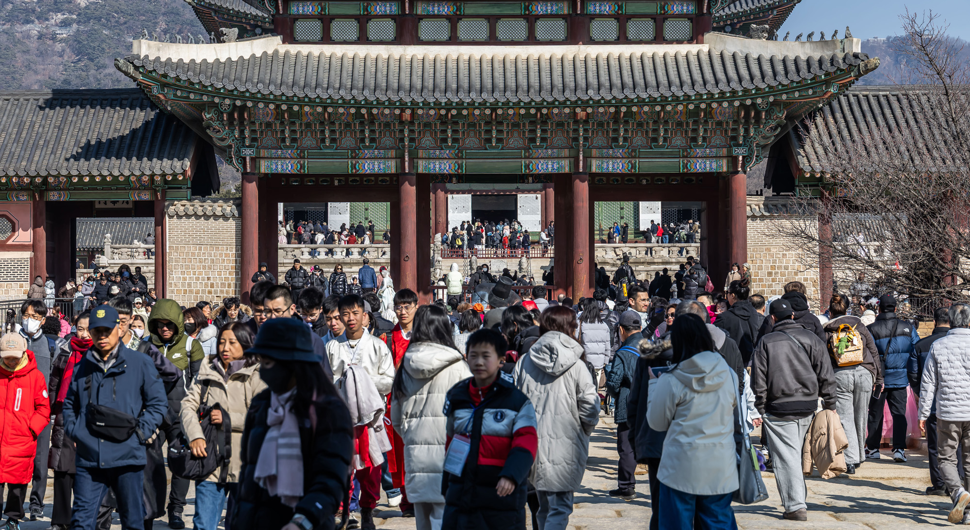 사회;세태;경복궁;설연휴경복궁무료개방;설연휴인파스케치;경복궁관람객인파스케치