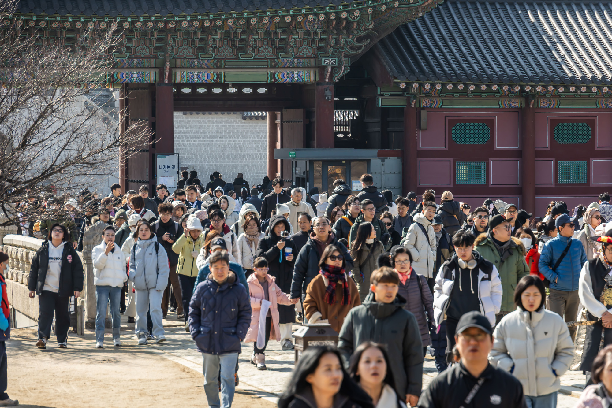 사회;세태;경복궁;설연휴경복궁무료개방;설연휴인파스케치;경복궁관람객인파스케치