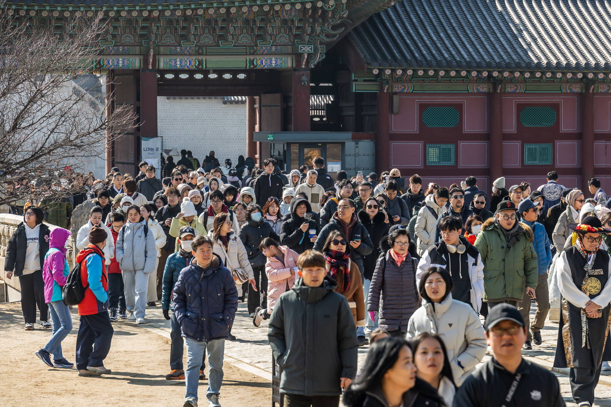 사회;세태;경복궁;설연휴경복궁무료개방;설연휴인파스케치;경복궁관람객인파스케치