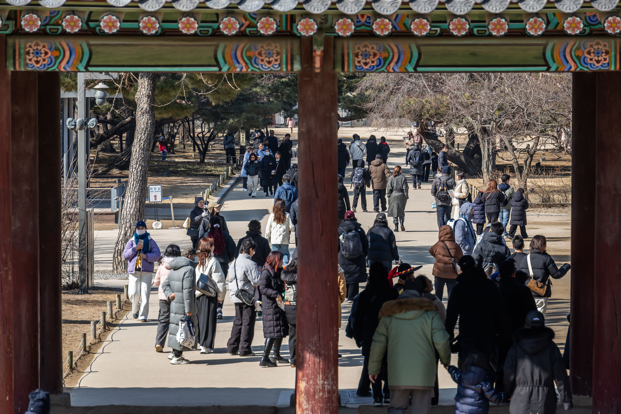 사회;세태;경복궁;설연휴경복궁무료개방;설연휴인파스케치;경복궁관람객인파스케치