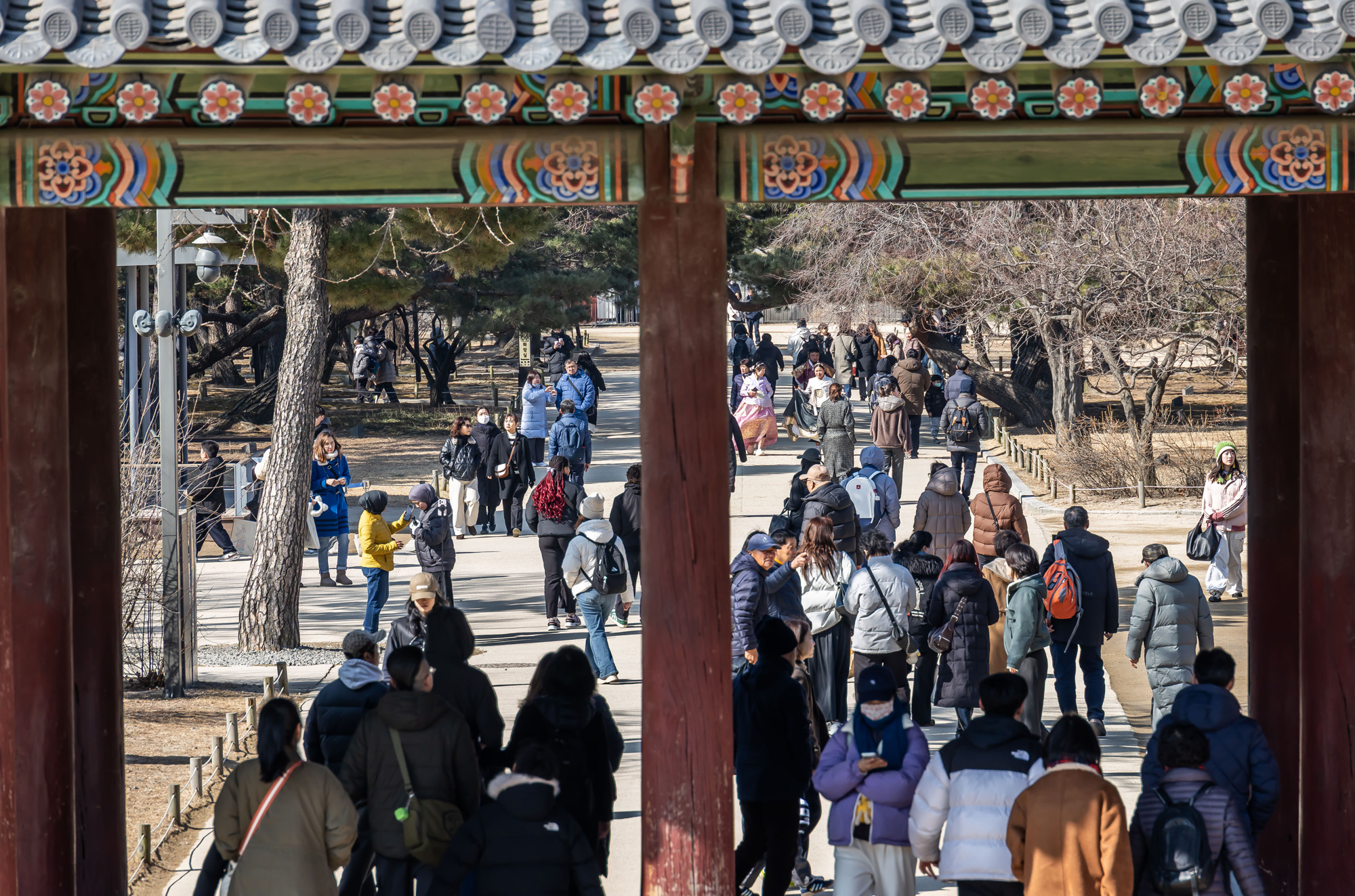 사회;세태;경복궁;설연휴경복궁무료개방;설연휴인파스케치;경복궁관람객인파스케치