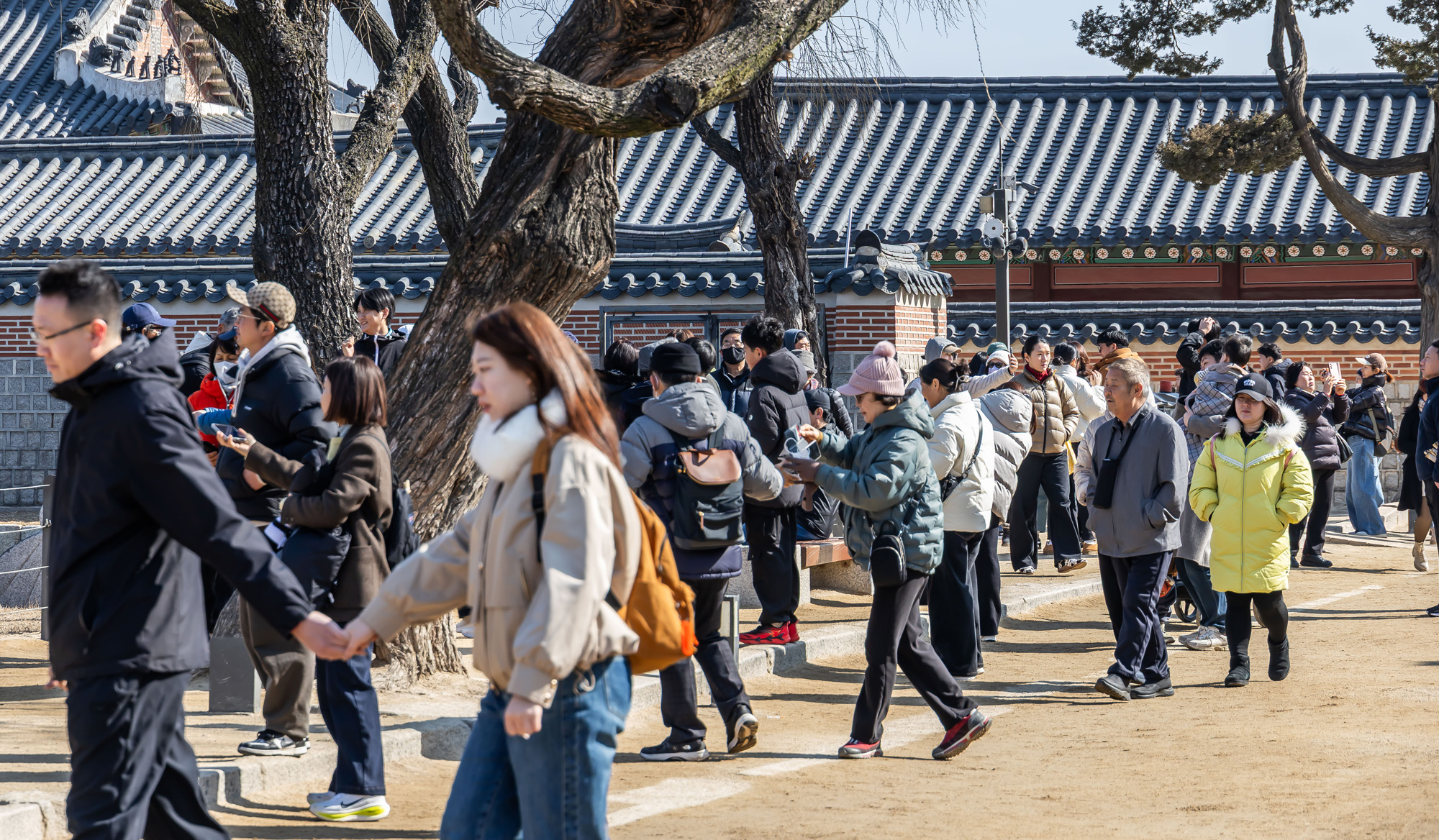 사회;세태;경복궁;설연휴경복궁무료개방;설연휴인파스케치;경복궁관람객인파스케치