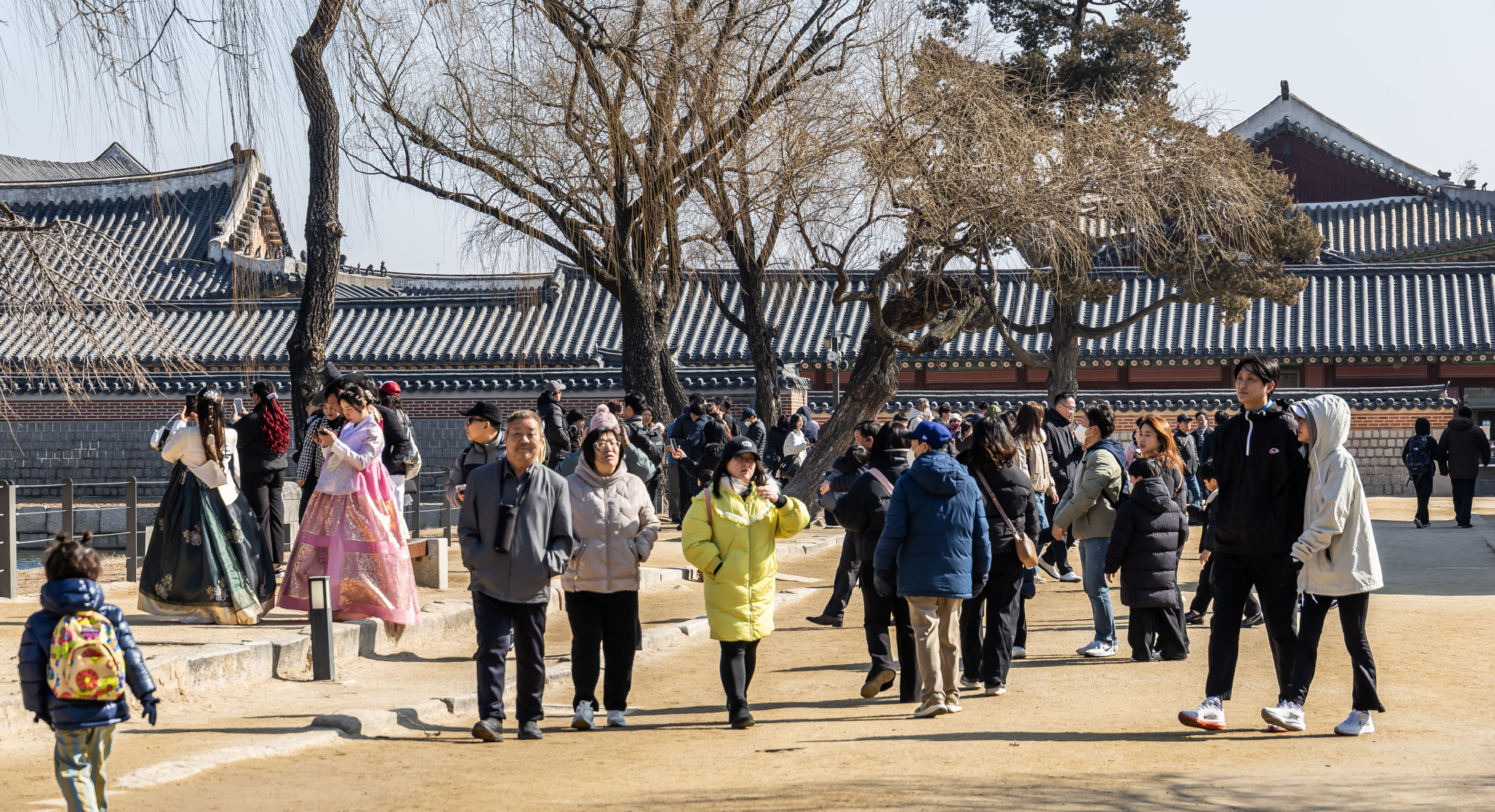 사회;세태;경복궁;설연휴경복궁무료개방;설연휴인파스케치;경복궁관람객인파스케치