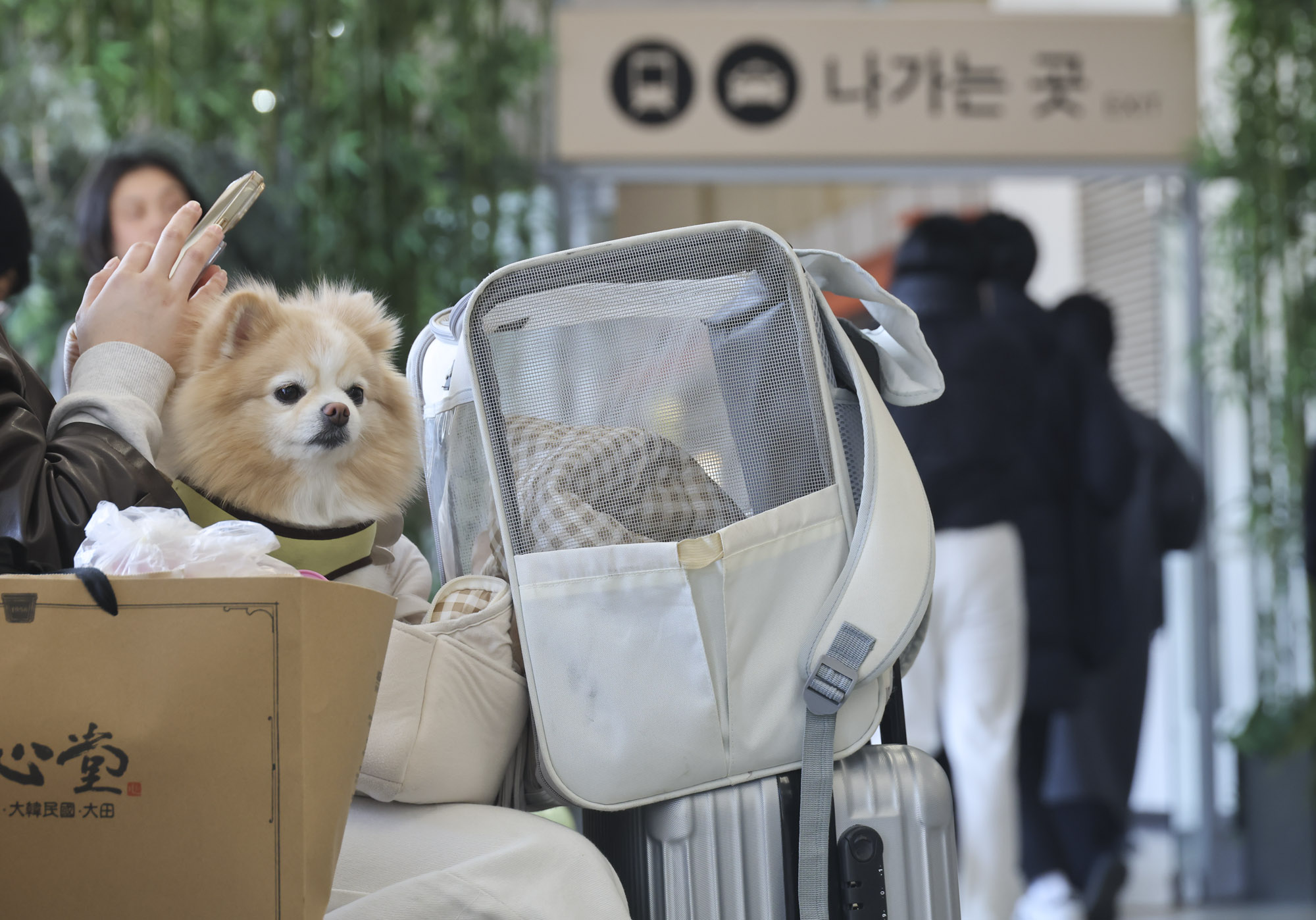 설연휴;귀경객;귀경길;고속버스터미널