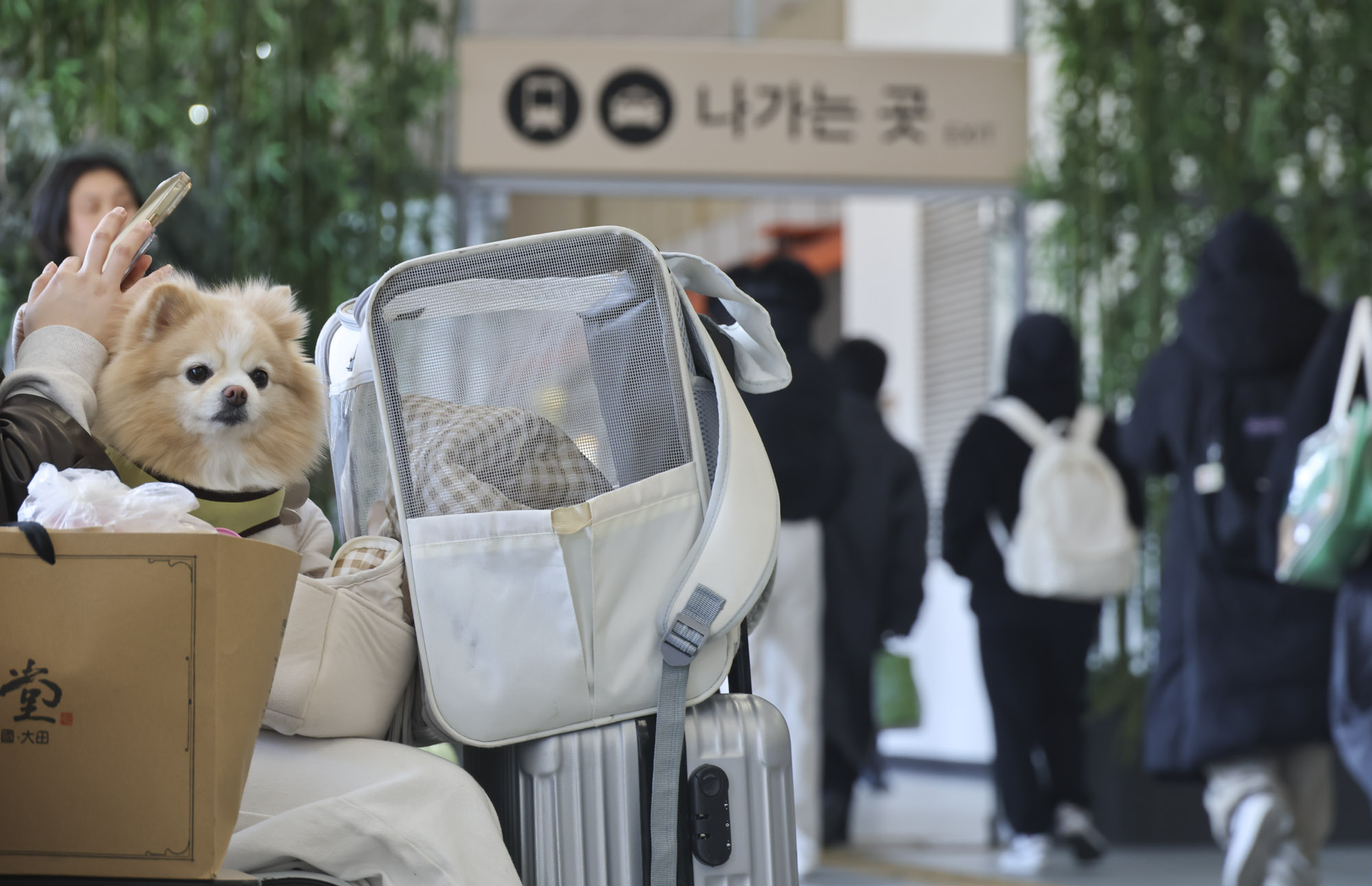 설연휴;귀경객;귀경길;고속버스터미널