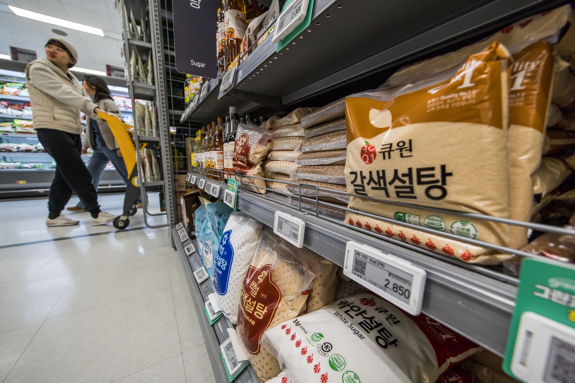 경제;설탕부담금;대형마트설탕매대;대형마트음료수매대;제로콜라;제로사이다;설탕과장금;설탕가격담합