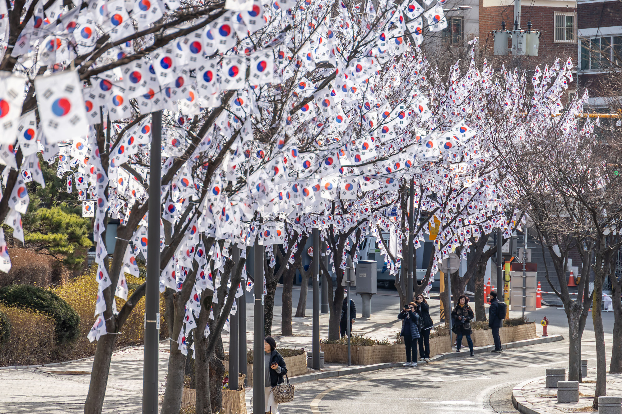 사회;공휴일;역사;3.1절;삼일절;삼일절태극기거리;효창공원태극기거리;3.1절태극기거리
