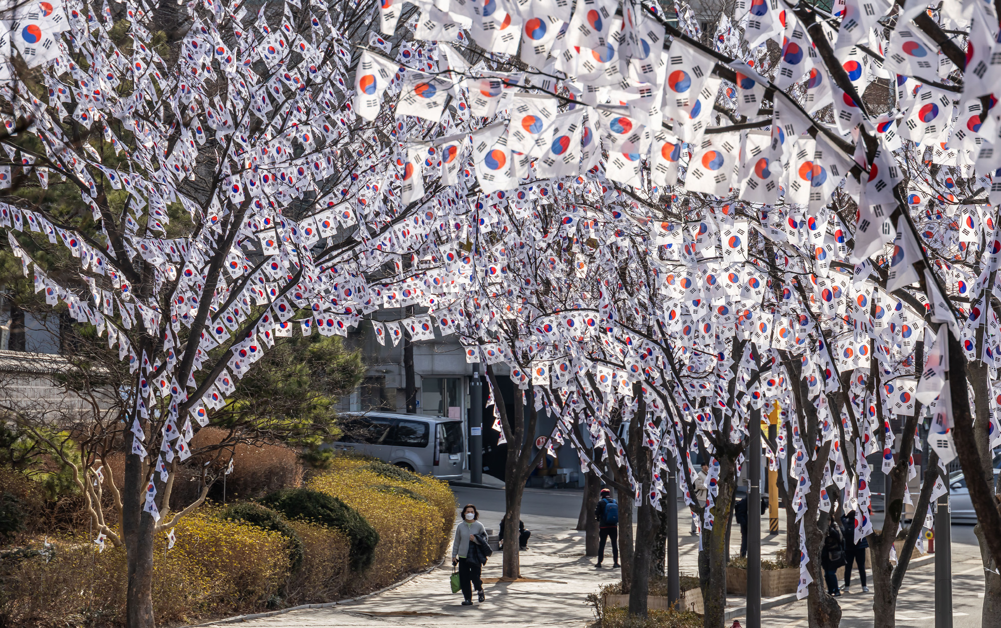 사회;공휴일;역사;3.1절;삼일절;삼일절태극기거리;효창공원태극기거리;3.1절태극기거리