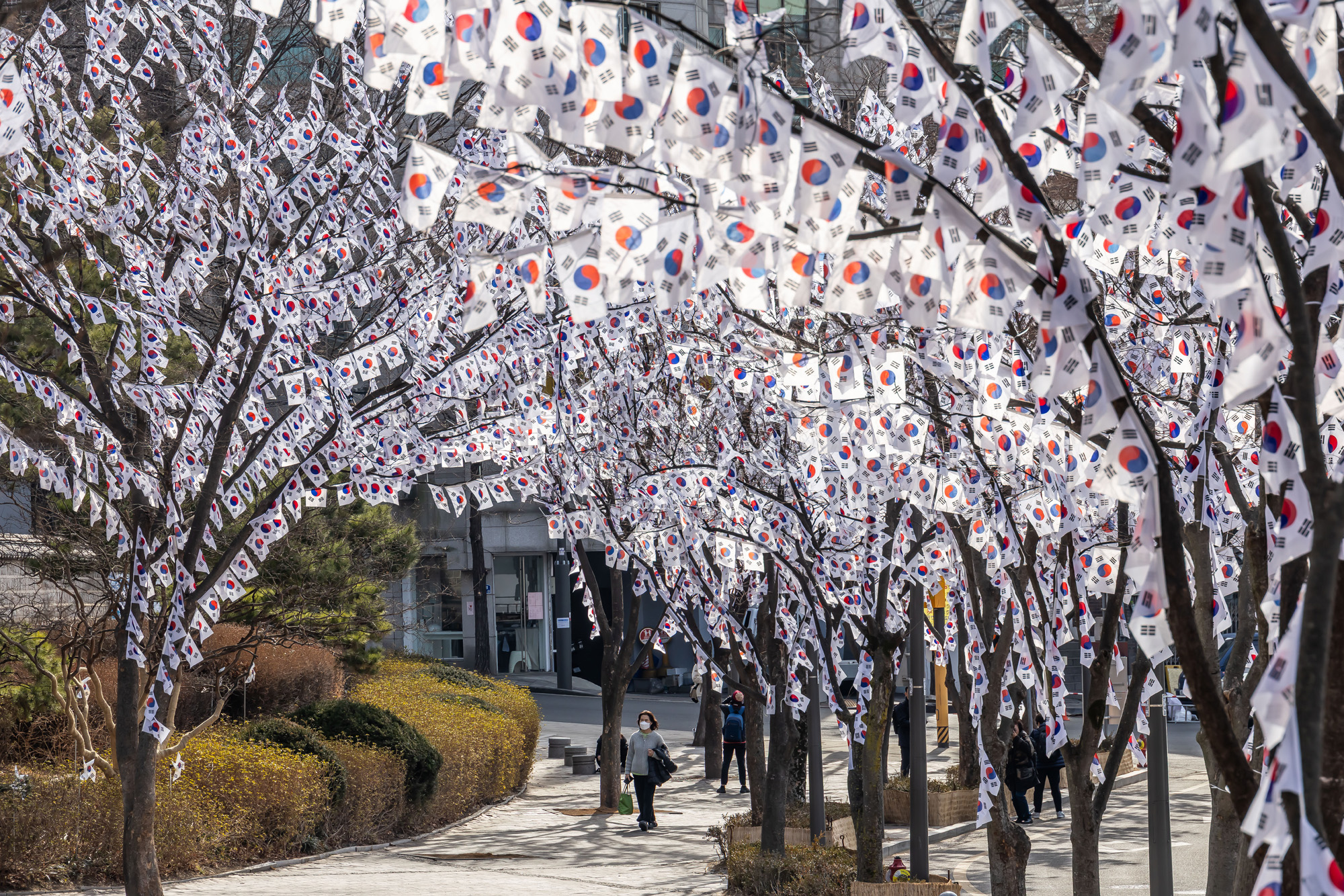 사회;공휴일;역사;3.1절;삼일절;삼일절태극기거리;효창공원태극기거리;3.1절태극기거리