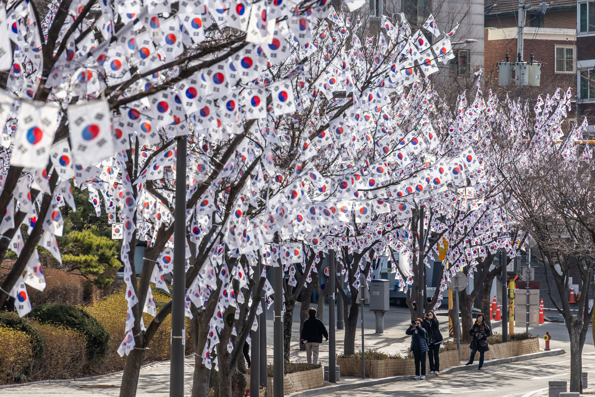 사회;공휴일;역사;3.1절;삼일절;삼일절태극기거리;효창공원태극기거리;3.1절태극기거리