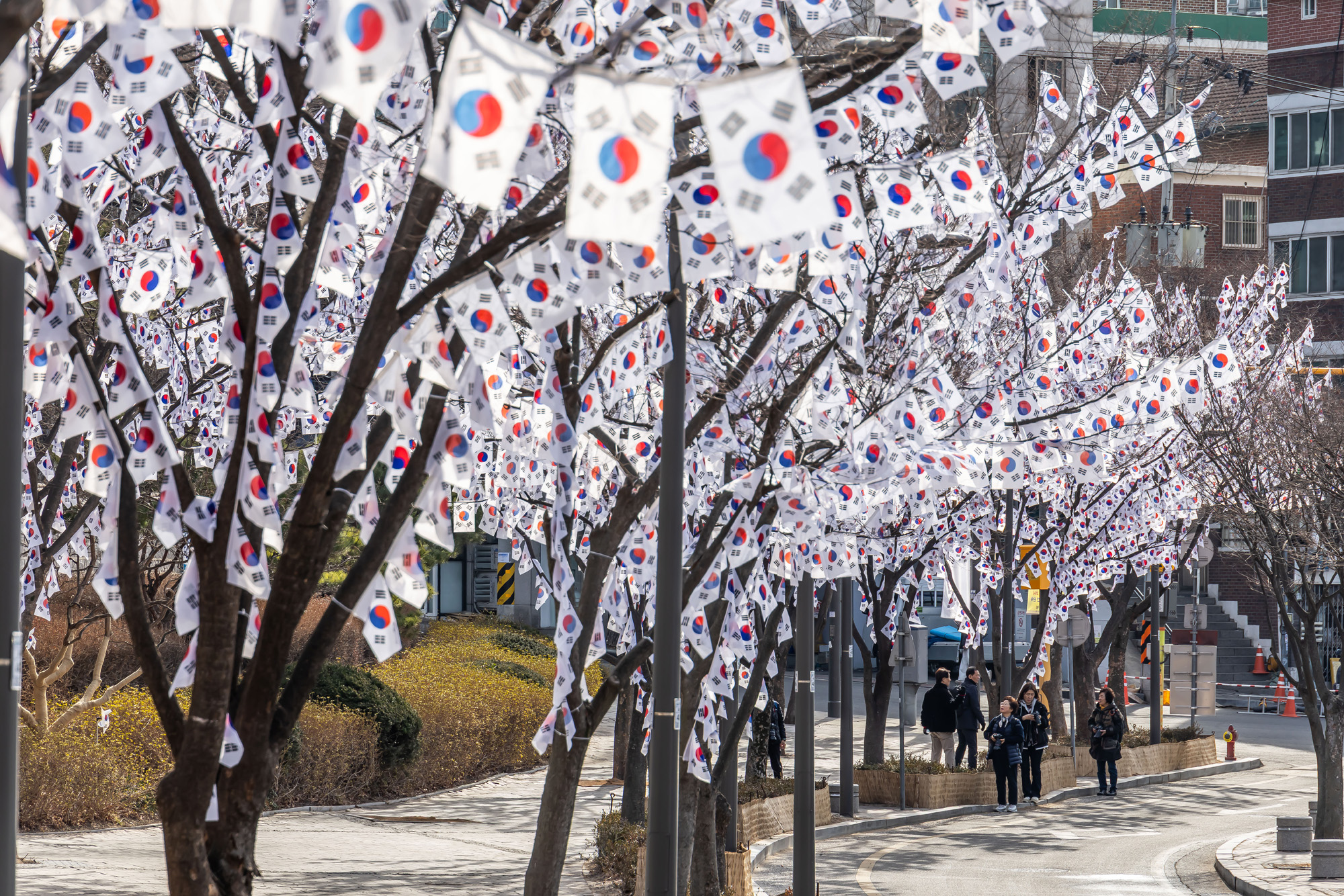 사회;공휴일;역사;3.1절;삼일절;삼일절태극기거리;효창공원태극기거리;3.1절태극기거리