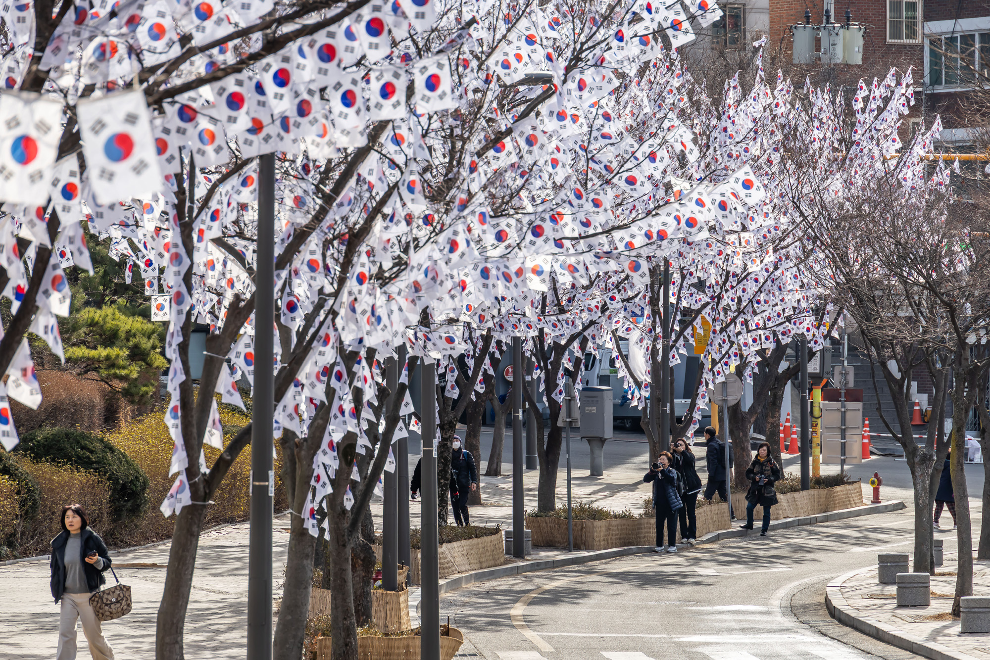 사회;공휴일;역사;3.1절;삼일절;삼일절태극기거리;효창공원태극기거리;3.1절태극기거리