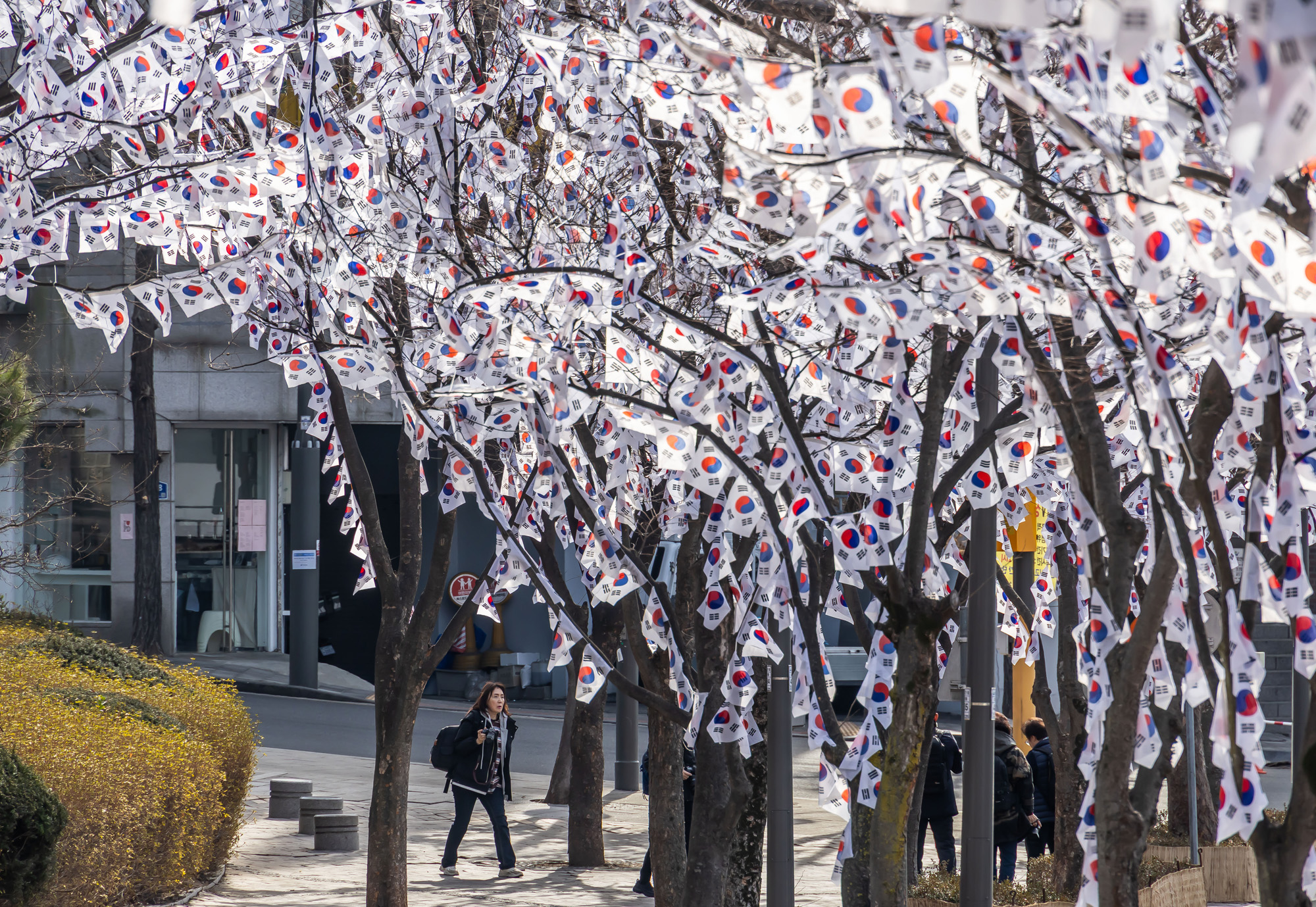 사회;공휴일;역사;3.1절;삼일절;삼일절태극기거리;효창공원태극기거리;3.1절태극기거리