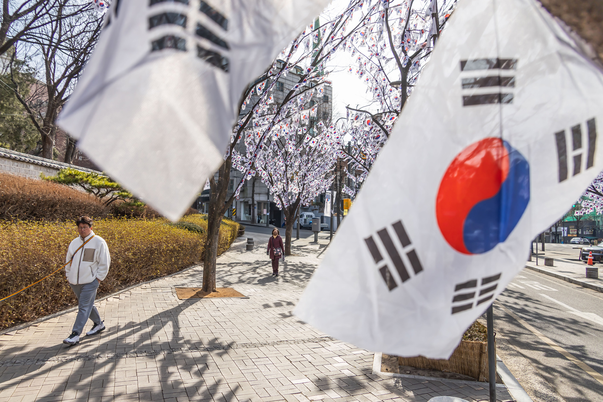 사회;공휴일;역사;3.1절;삼일절;삼일절태극기거리;효창공원태극기거리;3.1절태극기거리