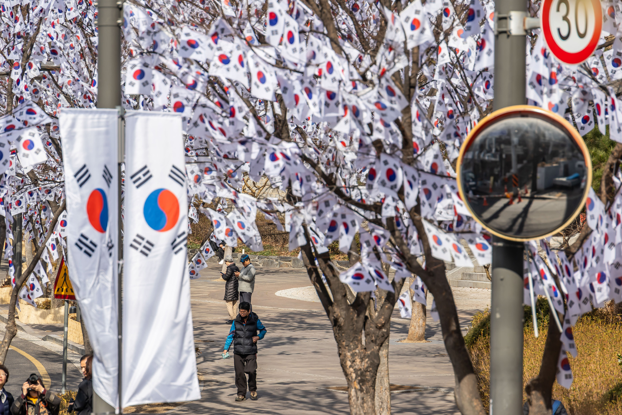 사회;공휴일;역사;3.1절;삼일절;삼일절태극기거리;효창공원태극기거리;3.1절태극기거리