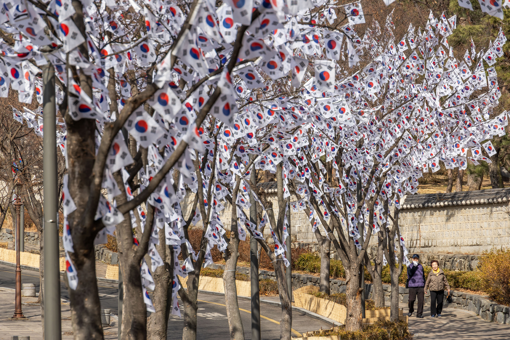 사회;공휴일;역사;3.1절;삼일절;삼일절태극기거리;효창공원태극기거리;3.1절태극기거리