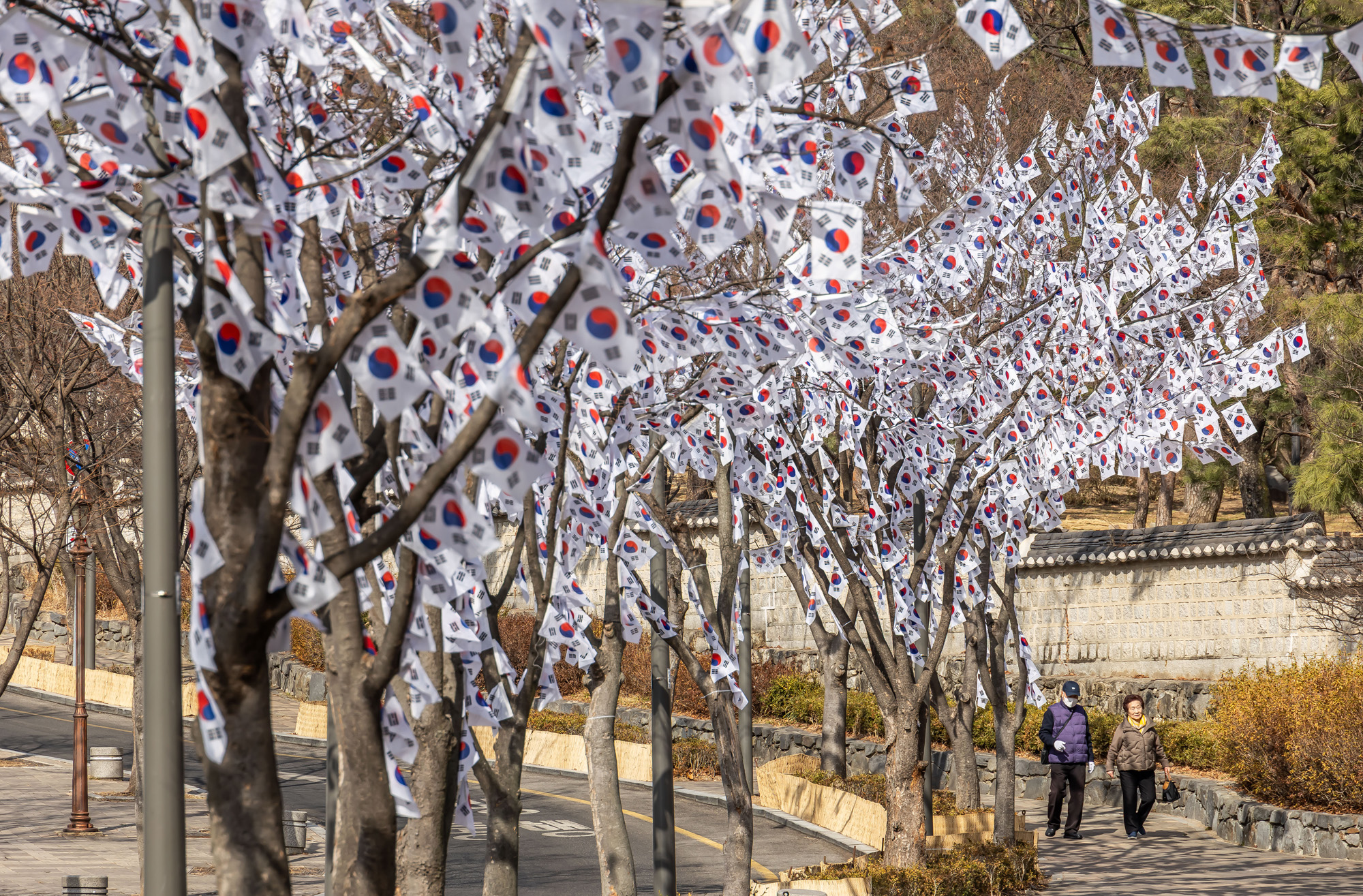 사회;공휴일;역사;3.1절;삼일절;삼일절태극기거리;효창공원태극기거리;3.1절태극기거리