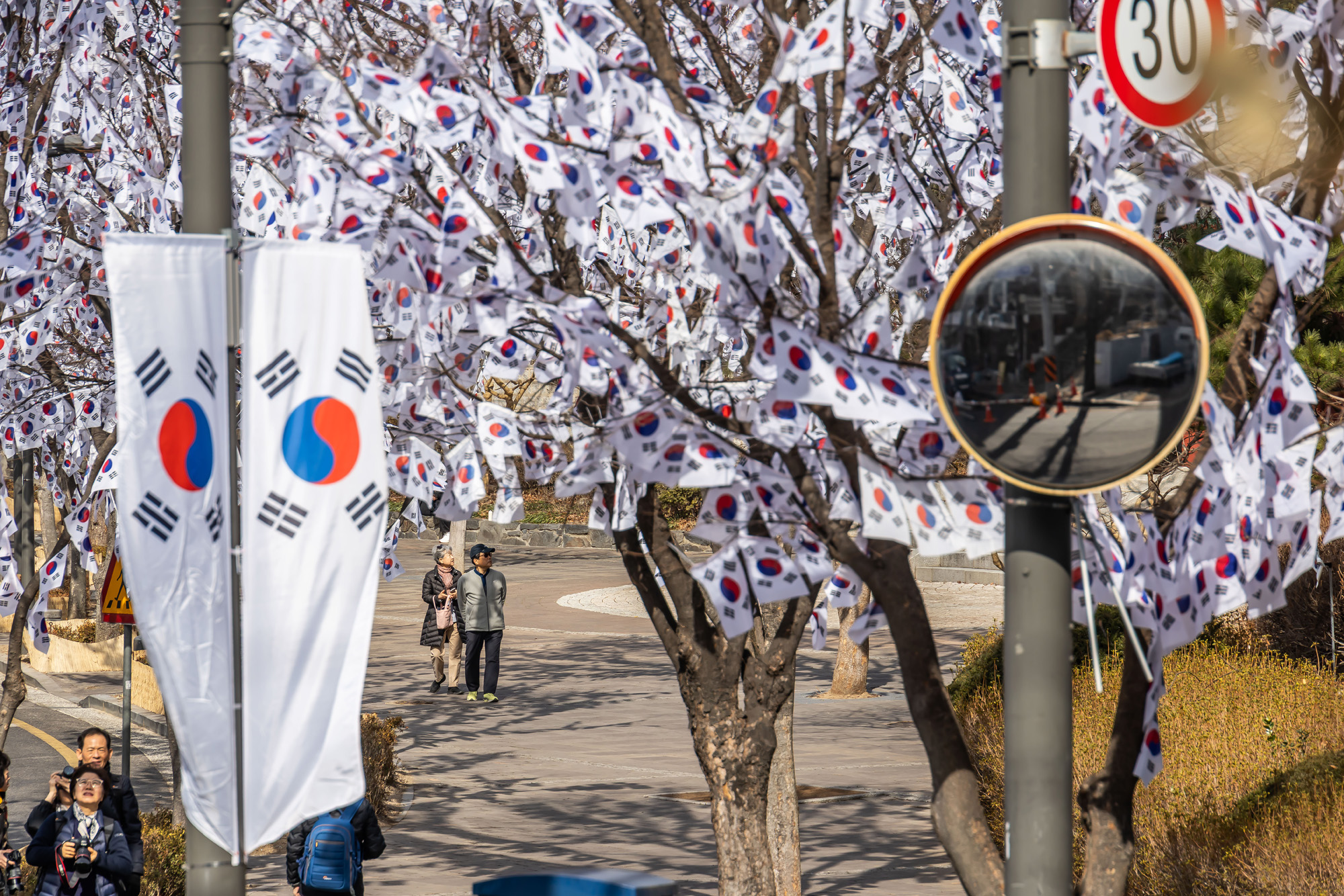 사회;공휴일;역사;3.1절;삼일절;삼일절태극기거리;효창공원태극기거리;3.1절태극기거리